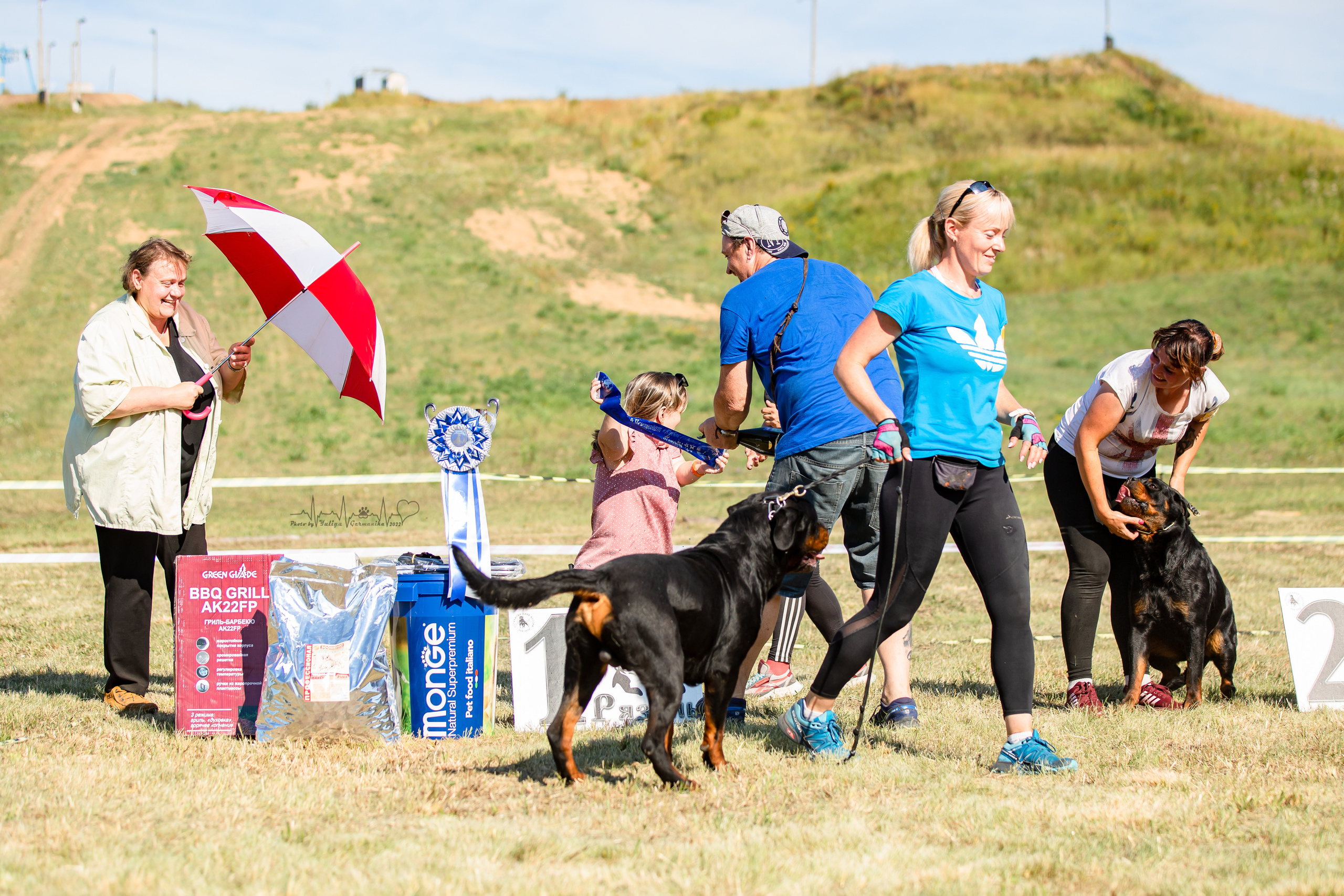 Рязань моно ротвейлеров 13.08.2022. Фотограф-анималист Юлия Германика