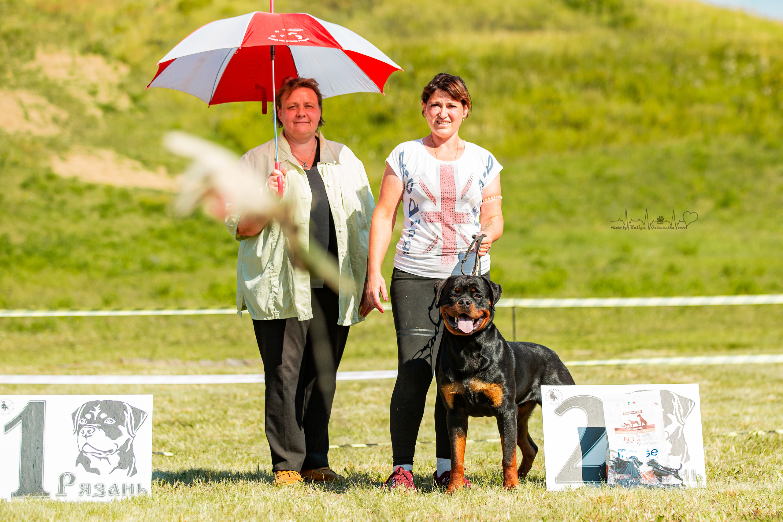 Рязань моно ротвейлеров 13.08.2022. Фотограф-анималист Юлия Германика