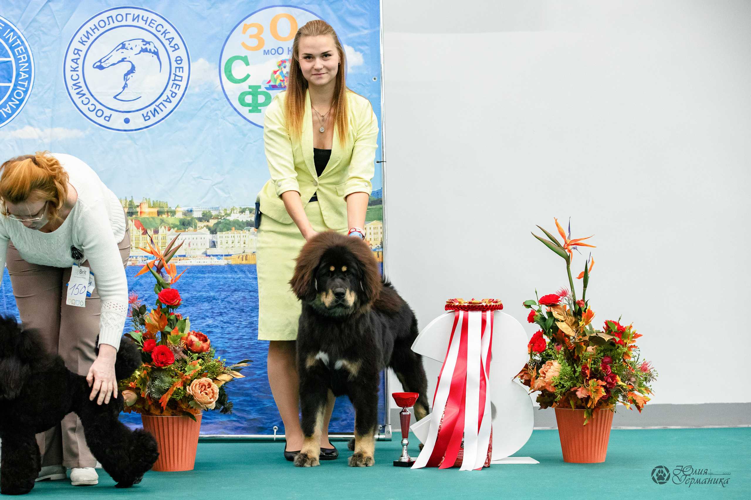 Нижний Новгород 15-16.10.2022. Фотограф-анималист Юлия Германика