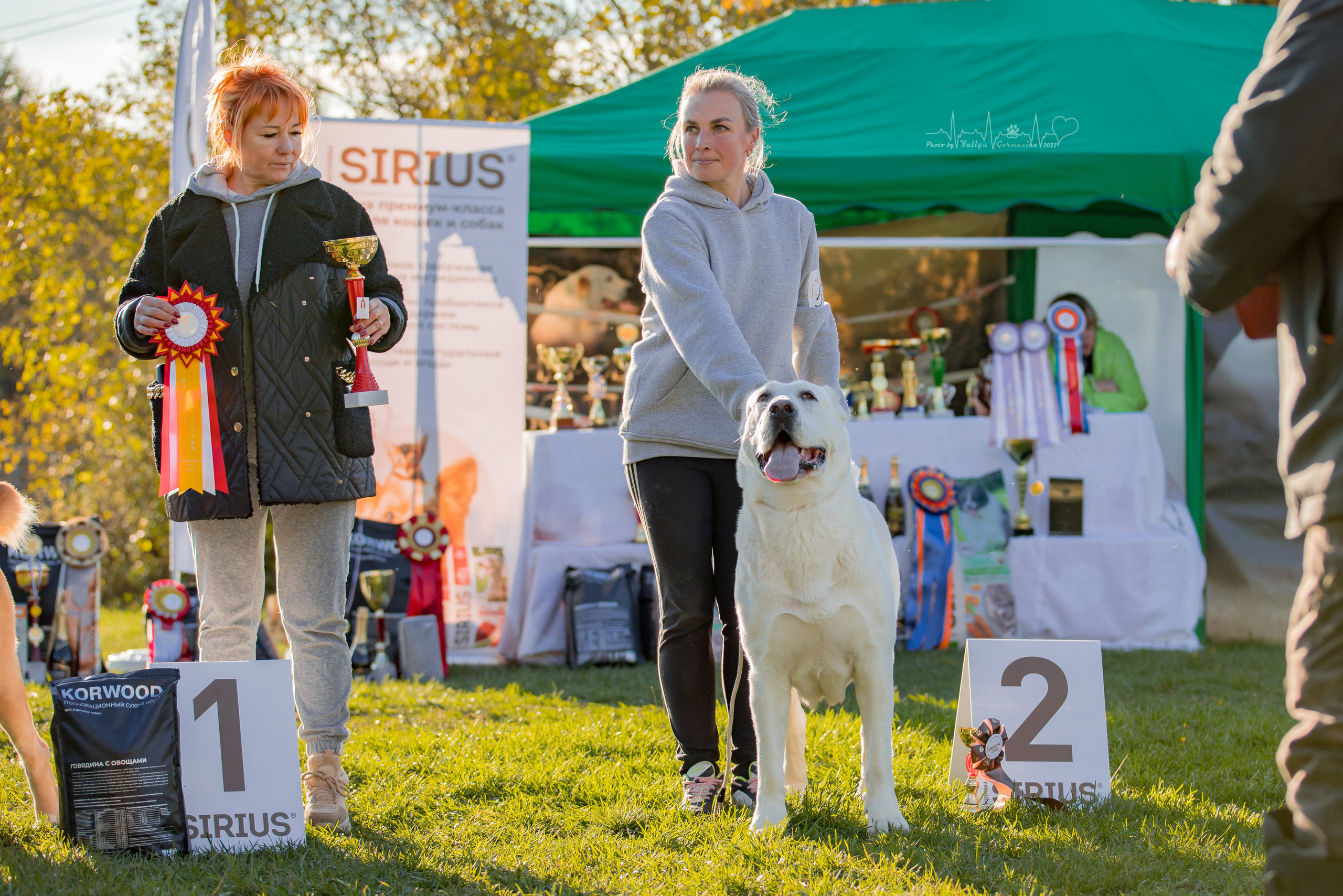 Александрова Слобода моно сао 2.10.2022. Фотограф-анималист Юлия Германика
