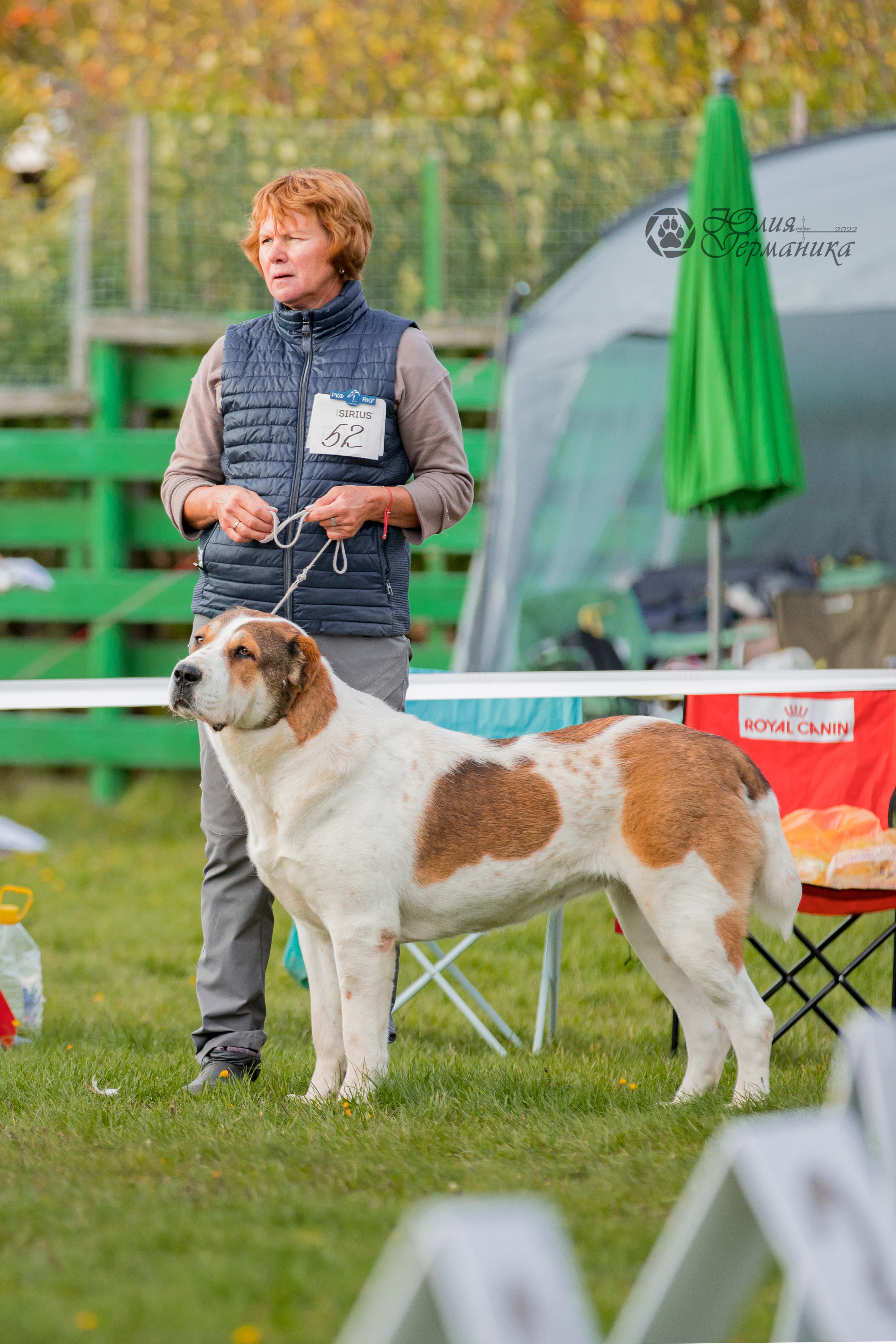 Александрова Слобода моно сао 2.10.2022. Фотограф-анималист Юлия Германика
