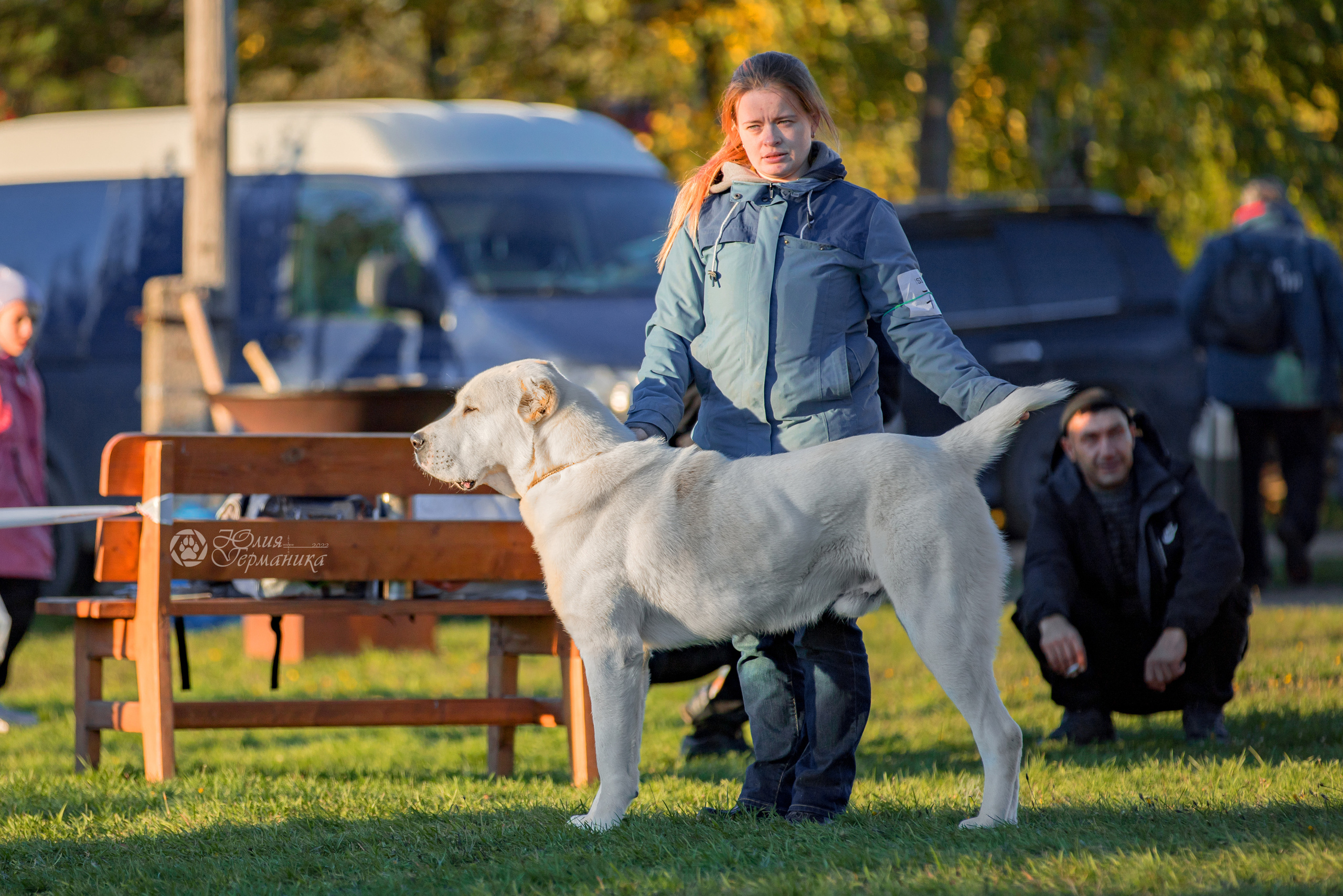 Александрова Слобода моно сао 2.10.2022. Фотограф-анималист Юлия Германика