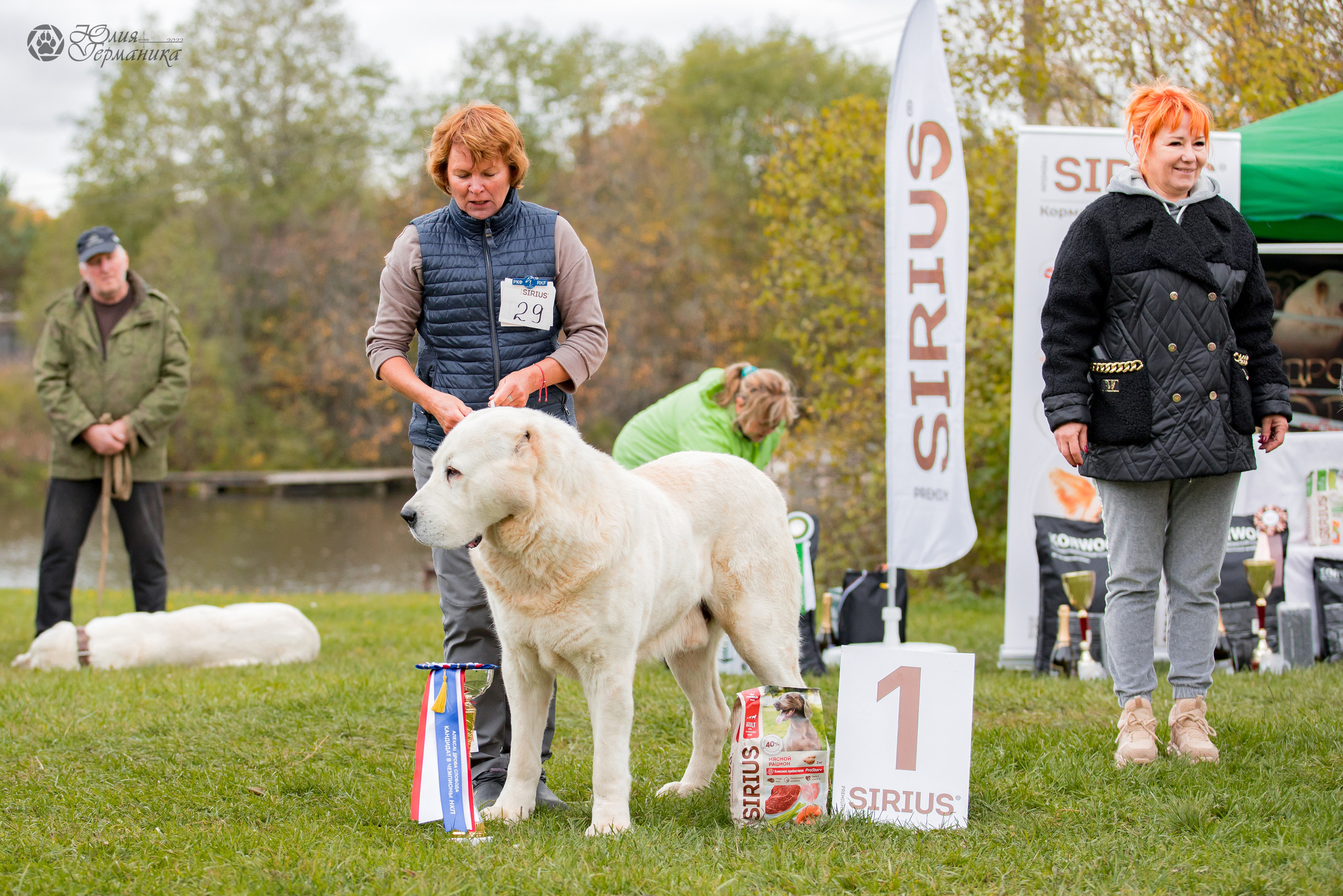 Александрова Слобода моно сао 2.10.2022. Фотограф-анималист Юлия Германика