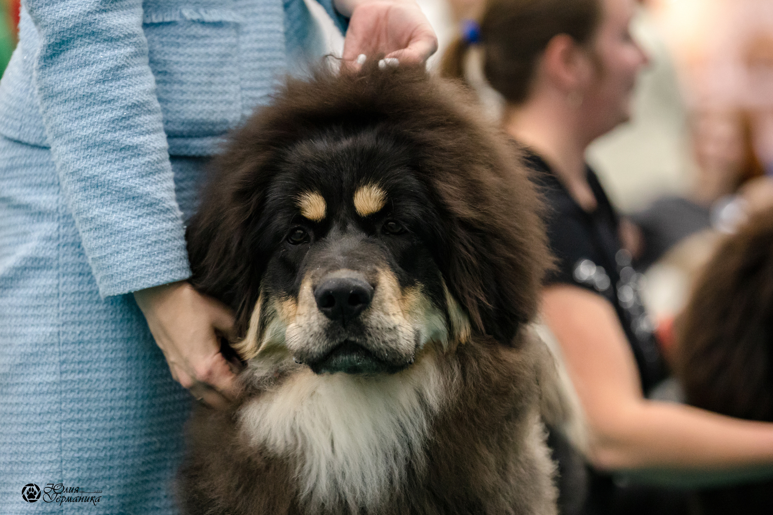 Нижний Новгород 15-16.10.2022. Фотограф-анималист Юлия Германика