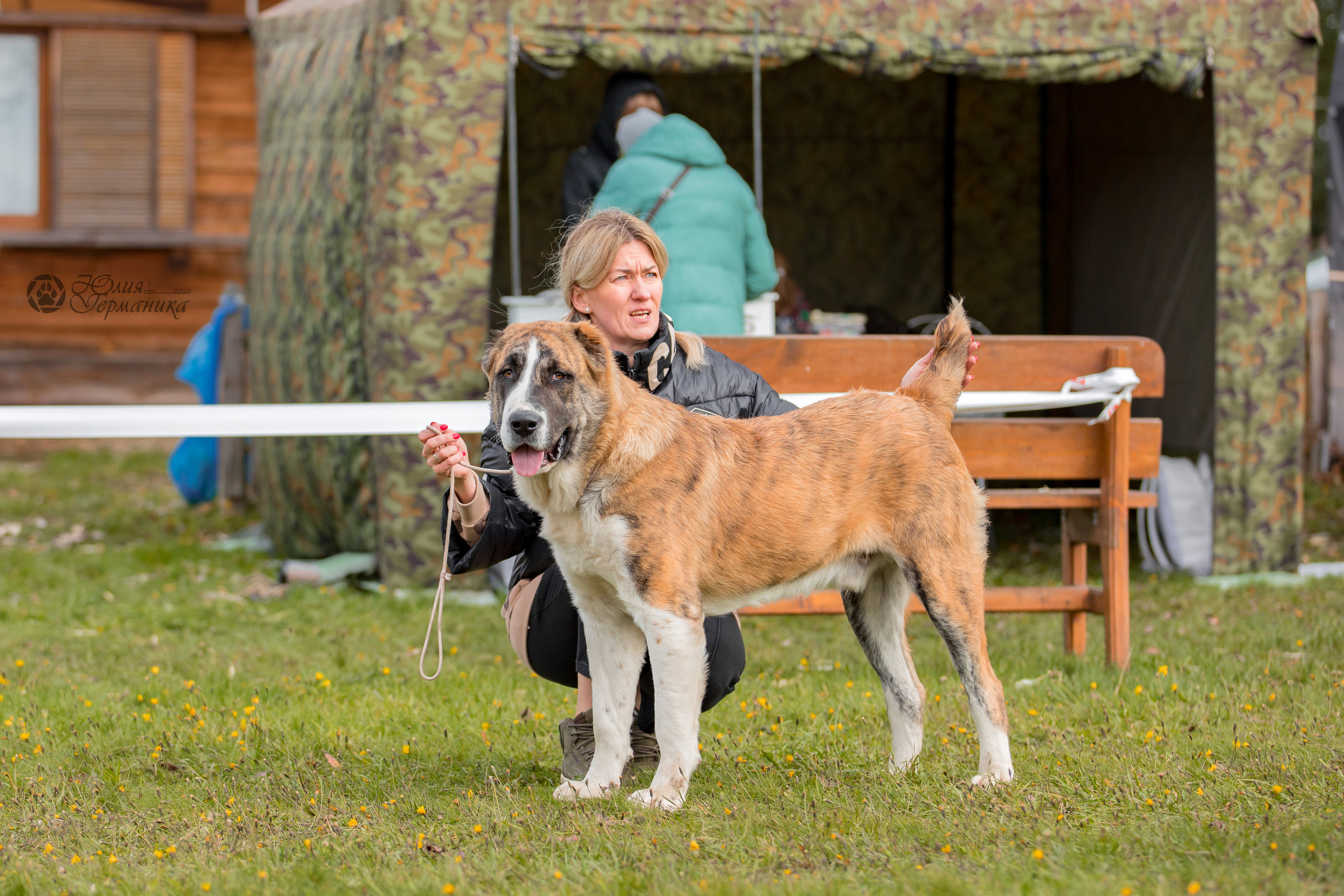 Александрова Слобода моно сао 2.10.2022. Фотограф-анималист Юлия Германика
