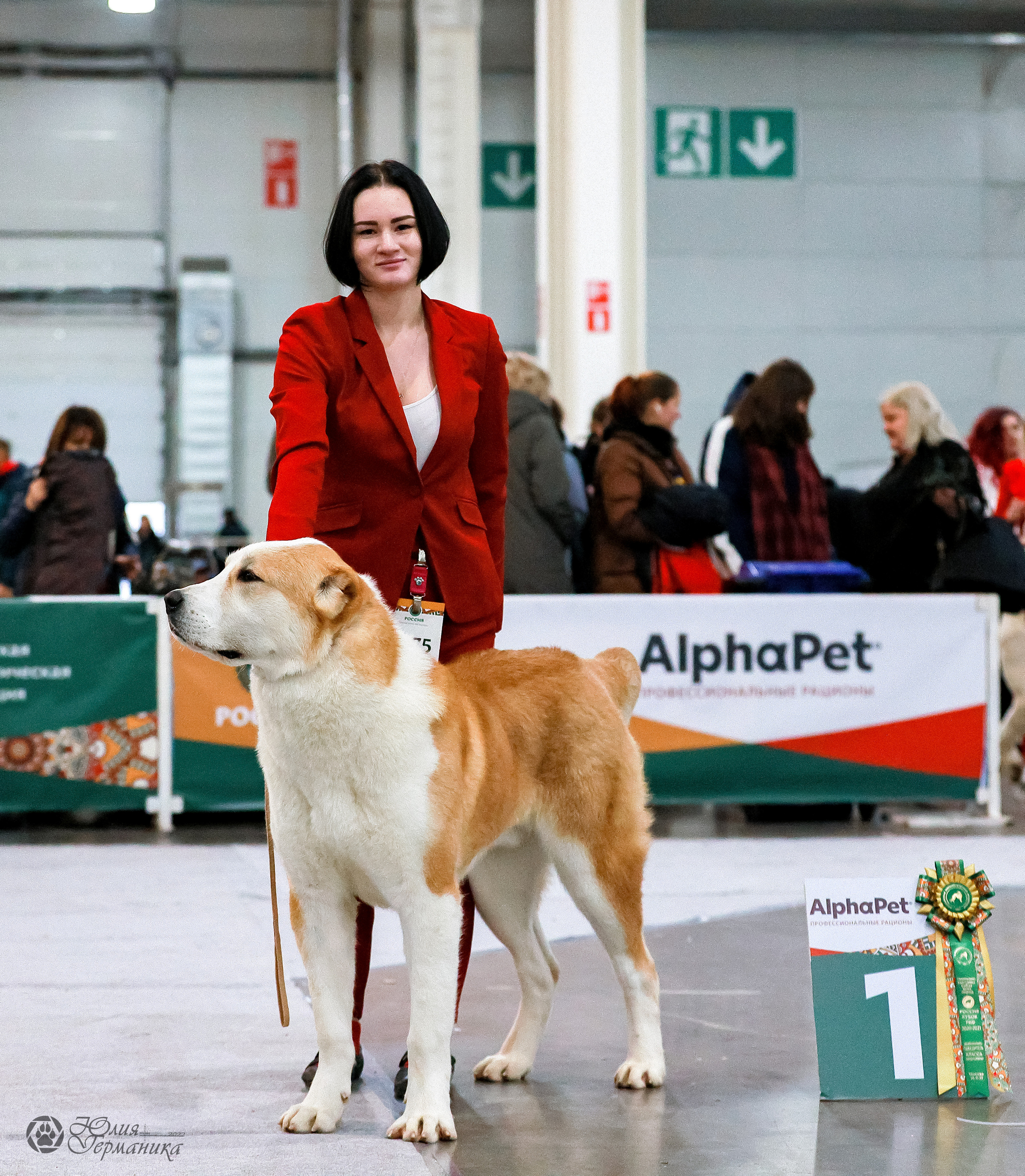 Россия 2020-2022 26-27.11.2022. Фотограф-анималист Юлия Германика