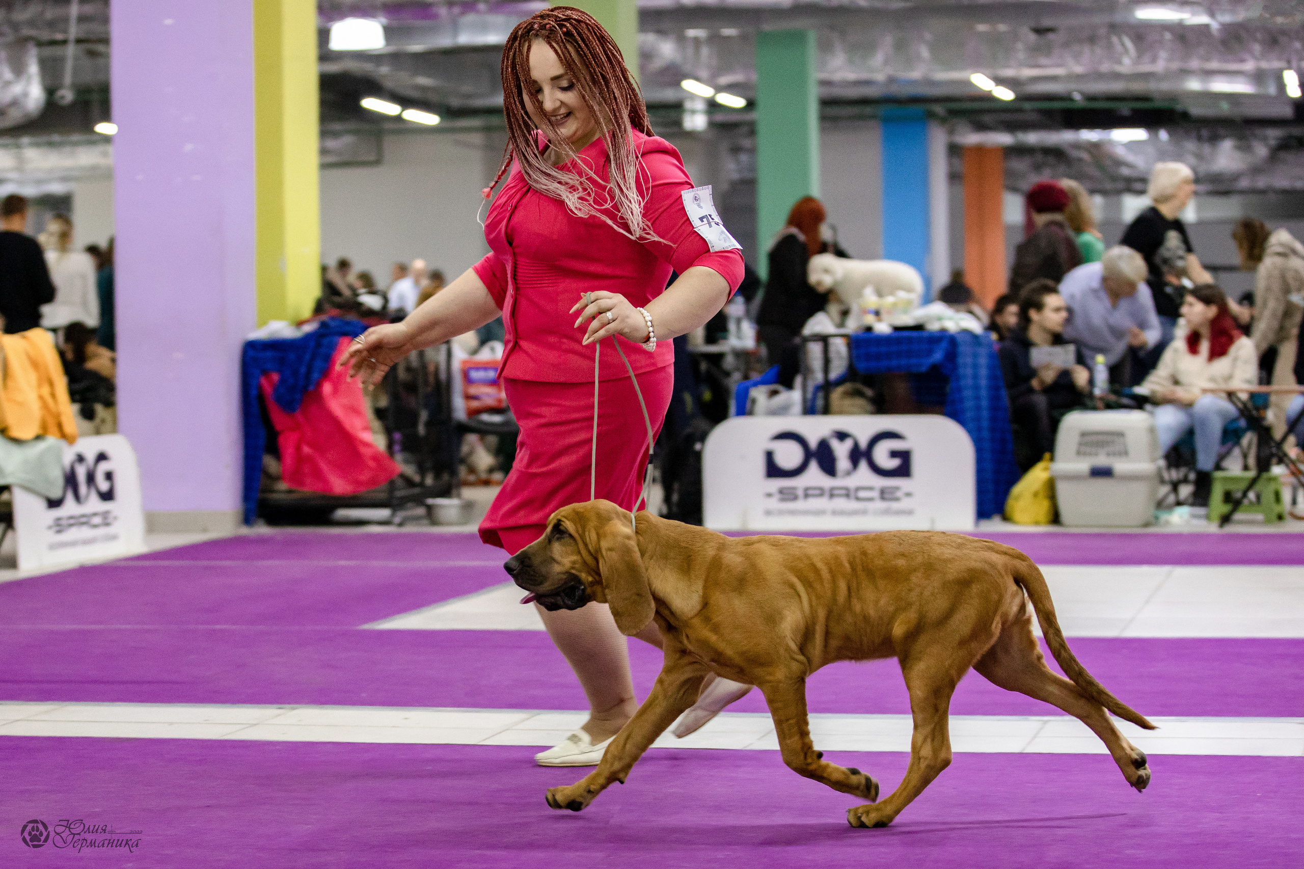 Чайна-Таун 29-30.10.2022. Фотограф-анималист Юлия Германика