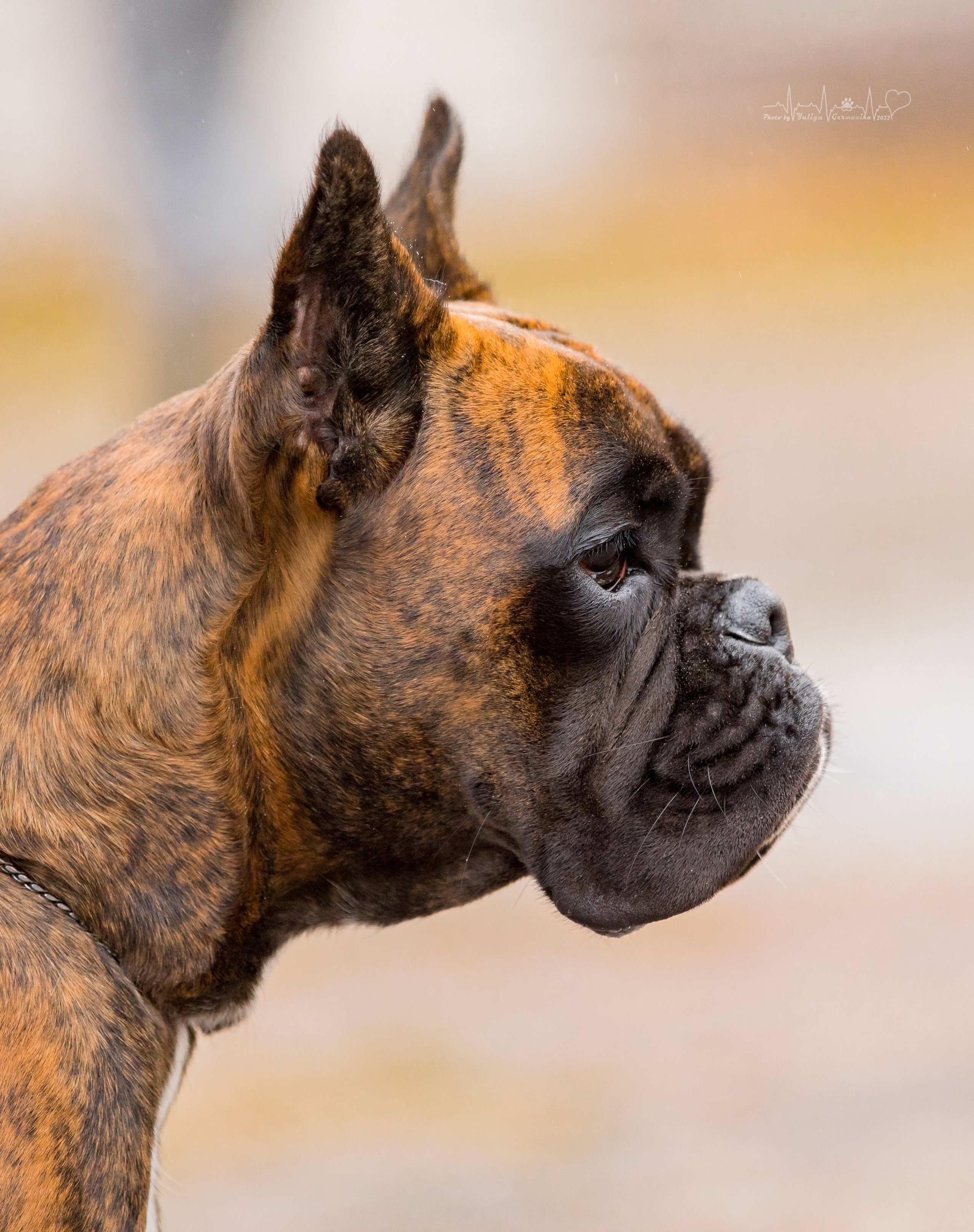 Александров 24.09.2022