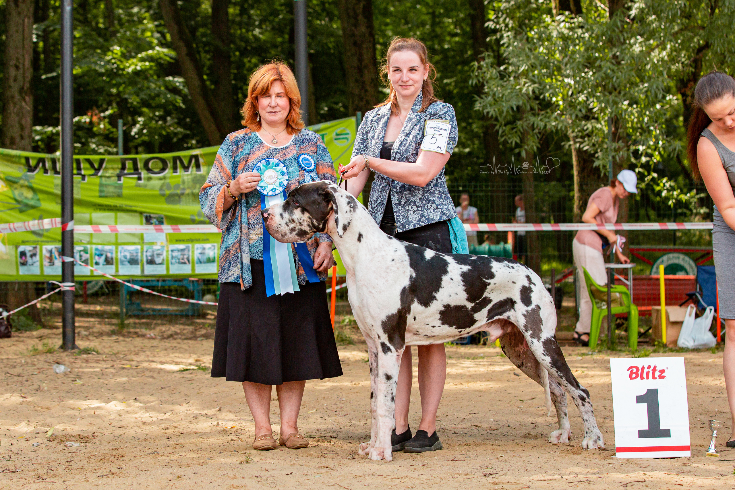 Ховрино фестиваль монопородок 14.08.2022. Фотограф-анималист Юлия Германика