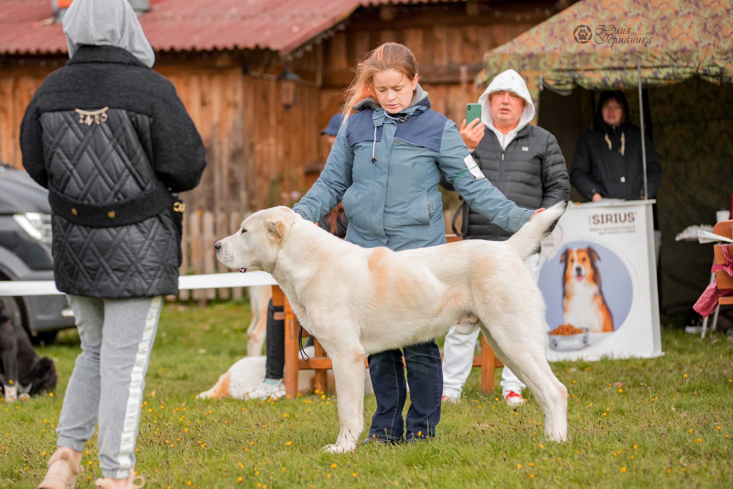Александрова Слобода моно сао 2.10.2022. Фотограф-анималист Юлия Германика