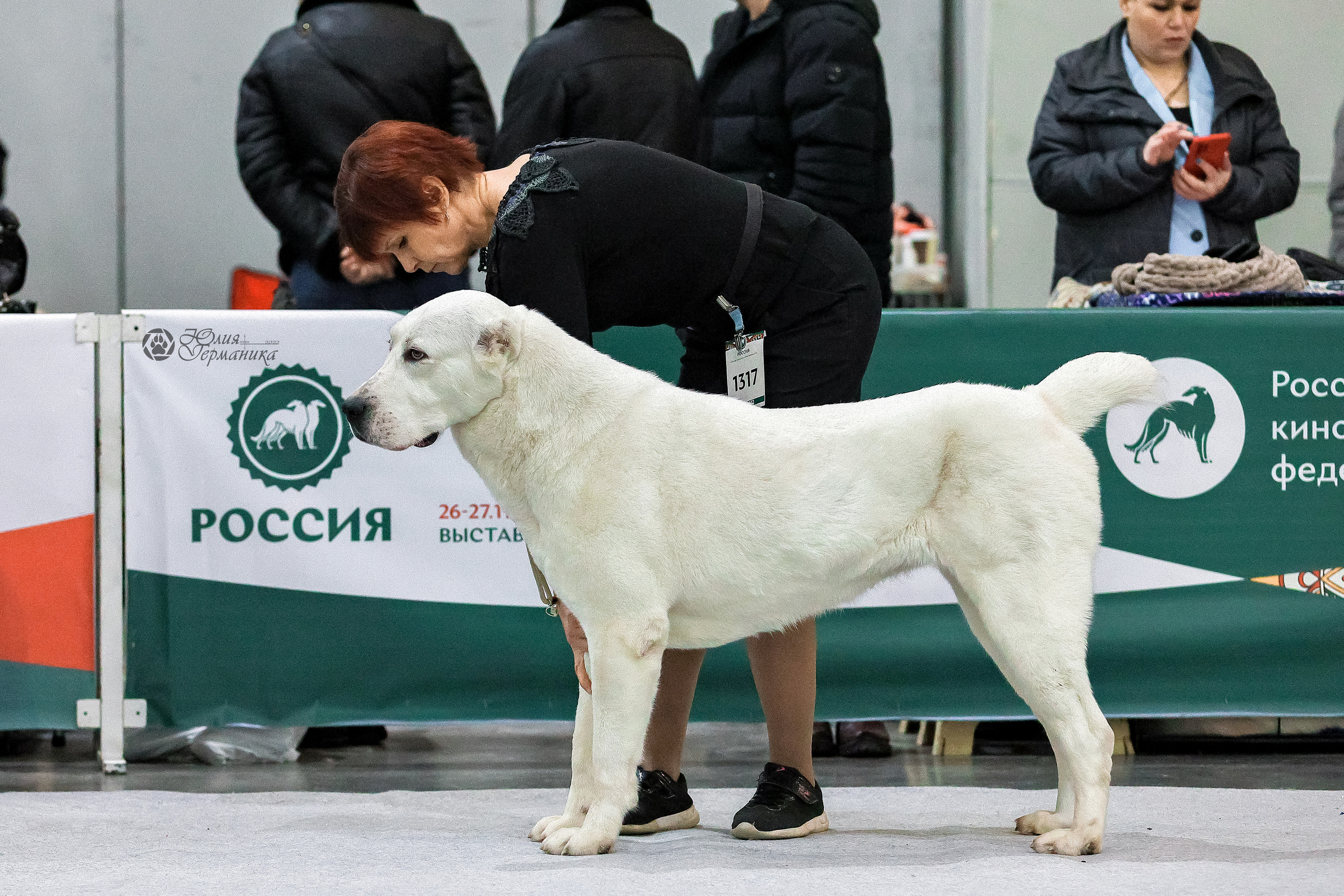 Россия 2020-2022 26-27.11.2022. Фотограф-анималист Юлия Германика