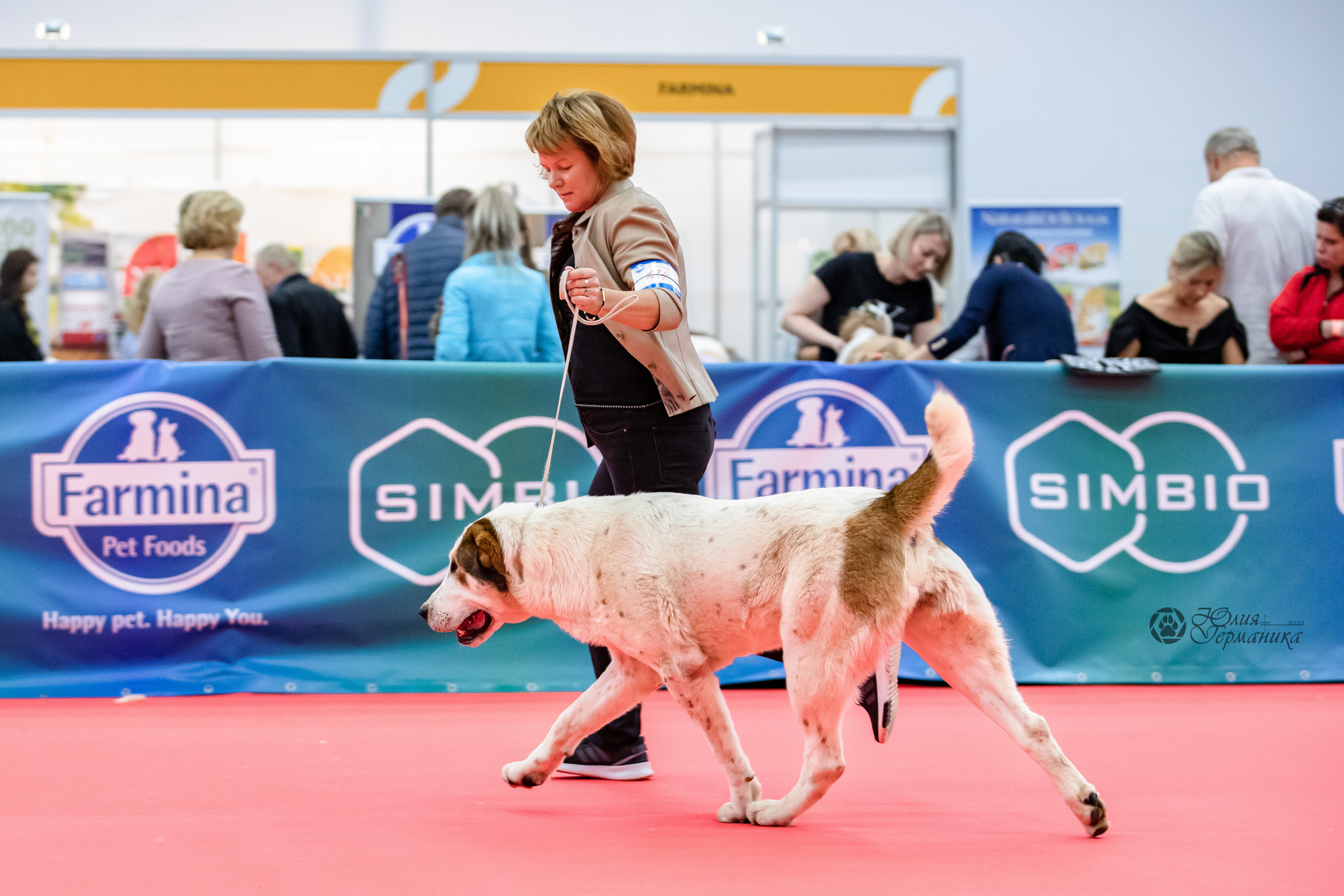 Нижний Новгород 15-16.10.2022. Фотограф-анималист Юлия Германика