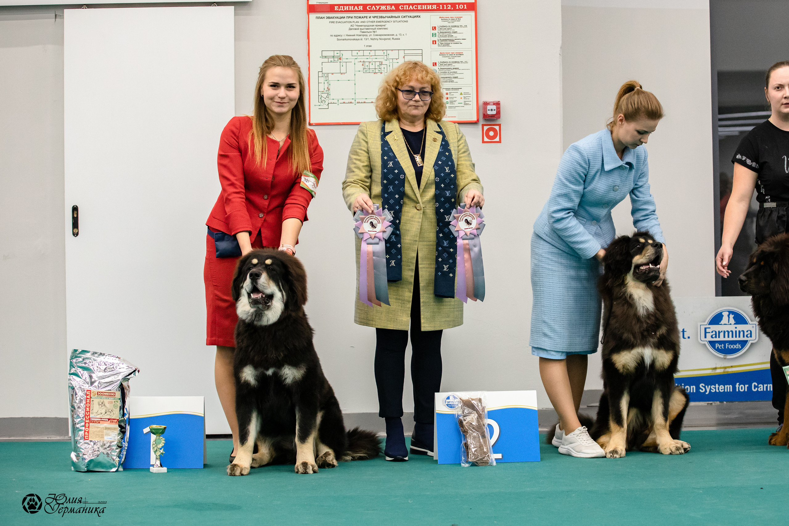 Нижний Новгород 15-16.10.2022. Фотограф-анималист Юлия Германика