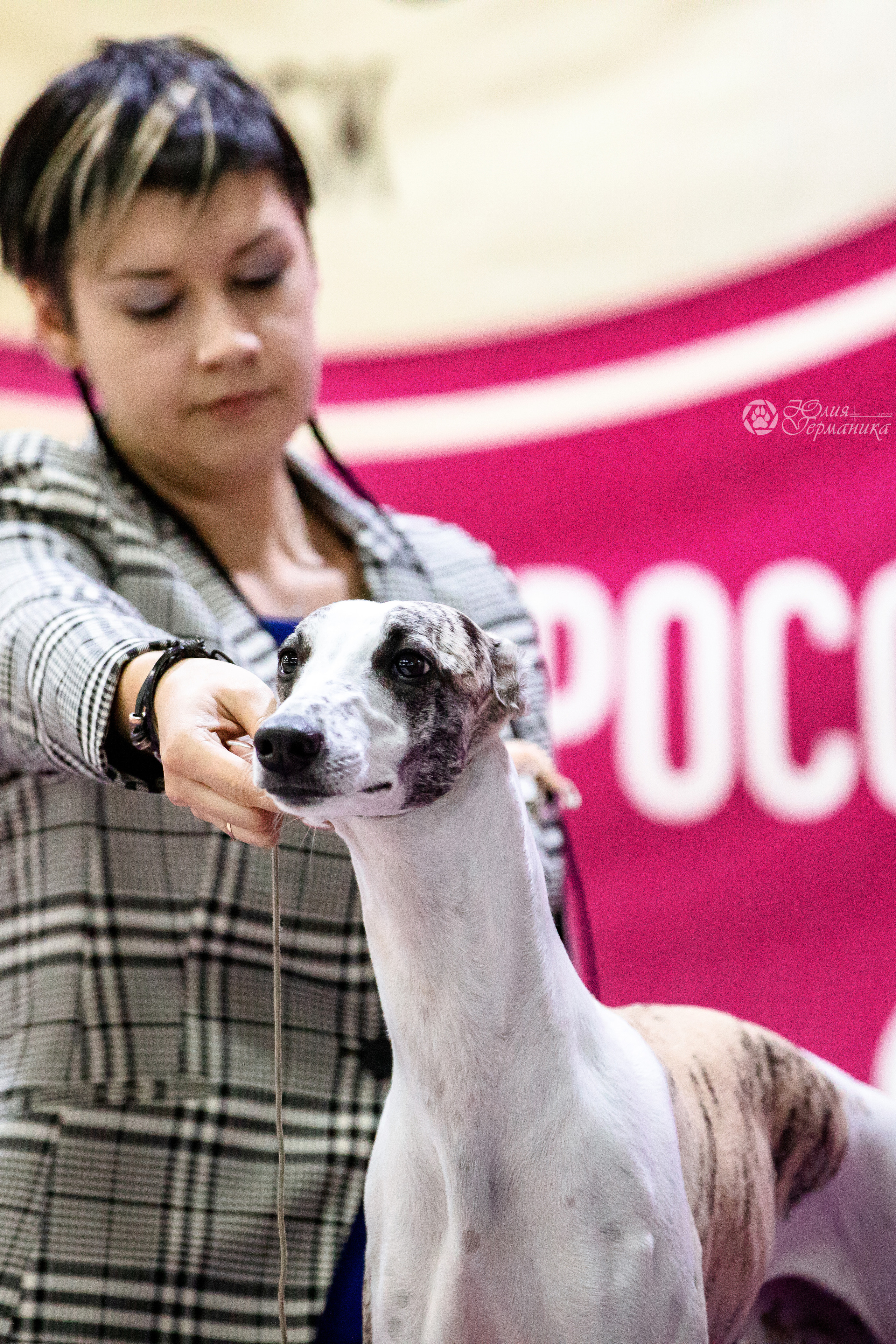 Чайна-Таун 29-30.10.2022. Фотограф-анималист Юлия Германика