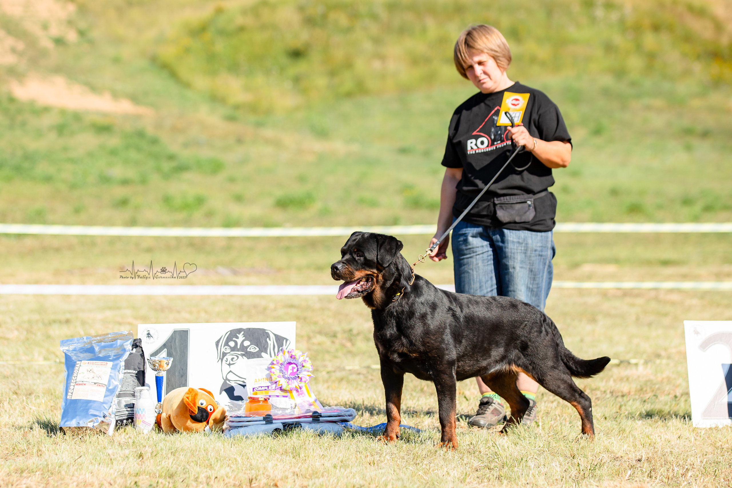 Рязань моно ротвейлеров 13.08.2022. Фотограф-анималист Юлия Германика