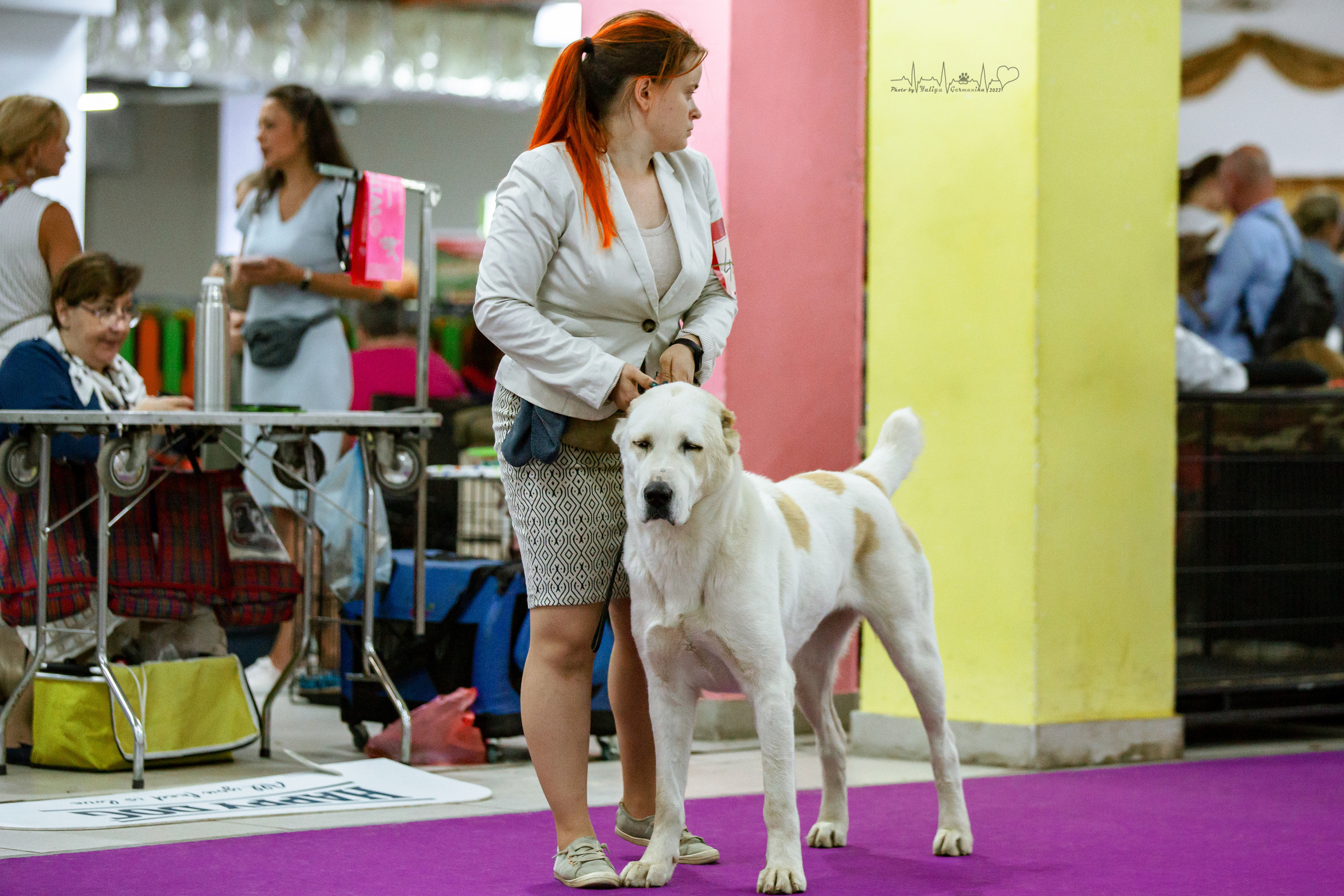 Ховрино 31.07,Чайна-Таун 6.08,Тверь 7.08. Фотограф-анималист Юлия Германика