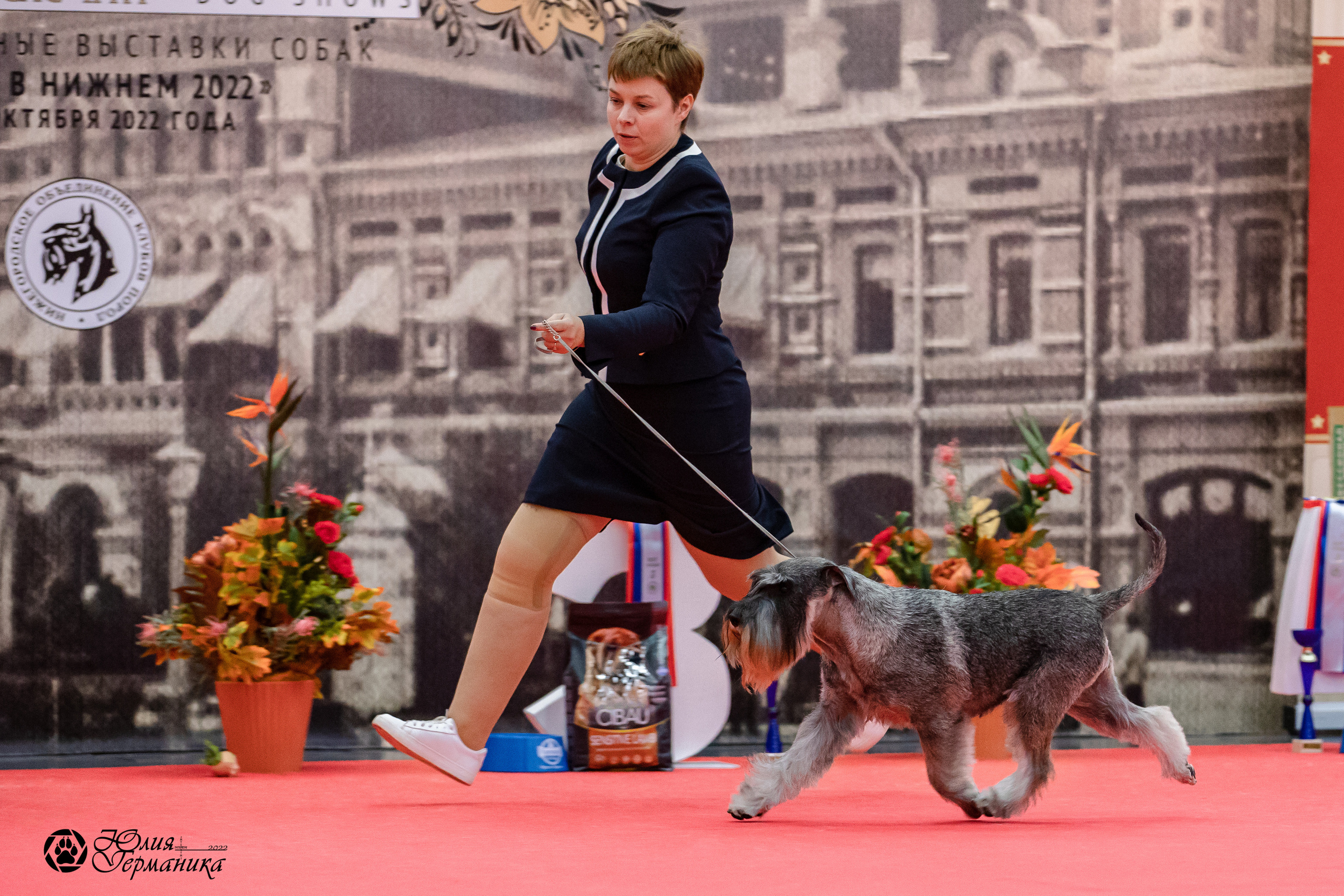 Нижний Новгород 15-16.10.2022. Фотограф-анималист Юлия Германика