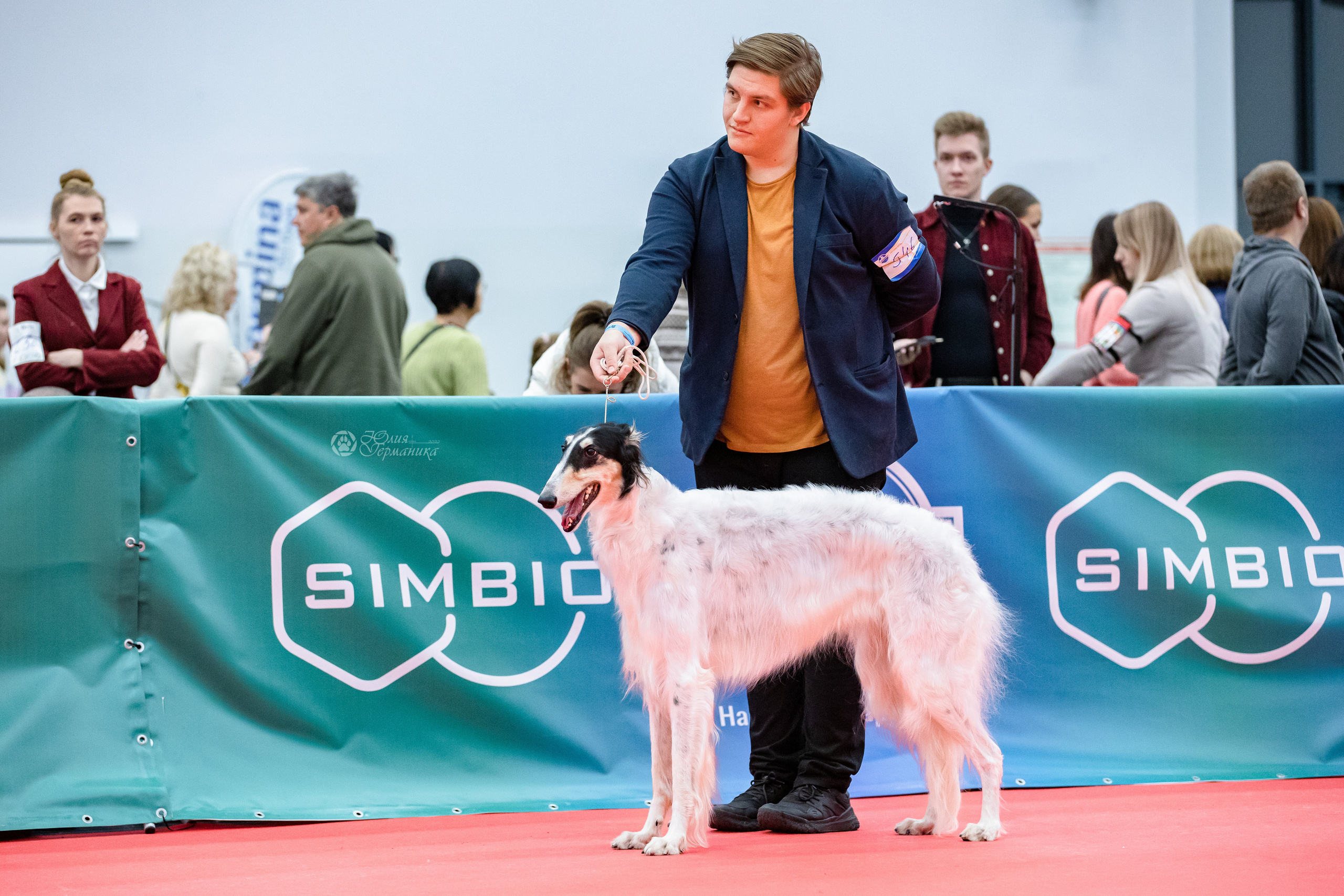 Нижний Новгород 15-16.10.2022. Фотограф-анималист Юлия Германика