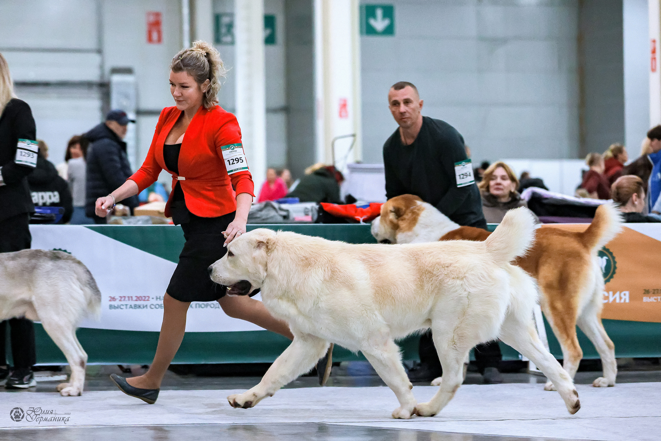 Россия 2020-2022 26-27.11.2022. Фотограф-анималист Юлия Германика