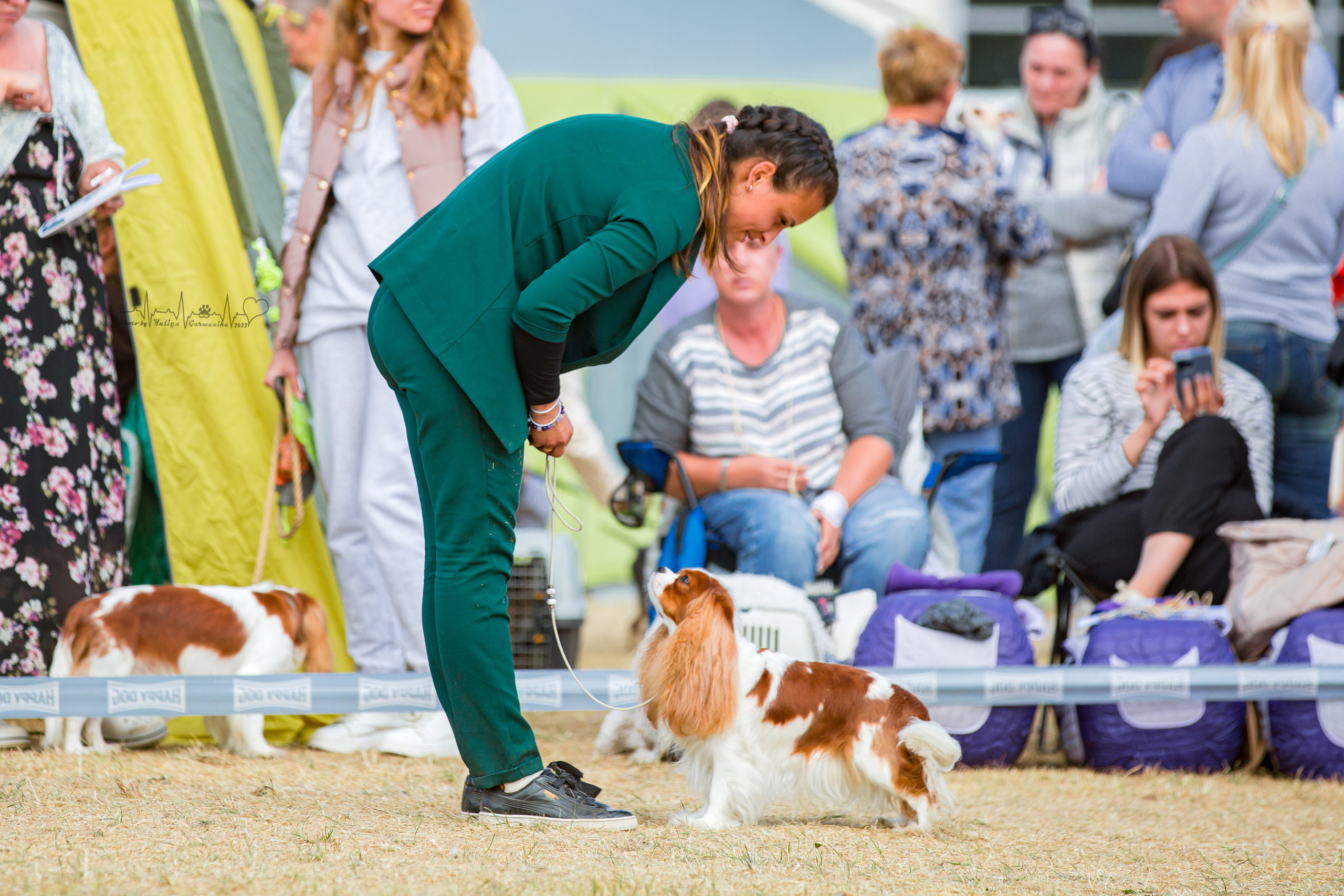 Минск 2хCACIB 3-4.09.2022. Фотограф-анималист Юлия Германика