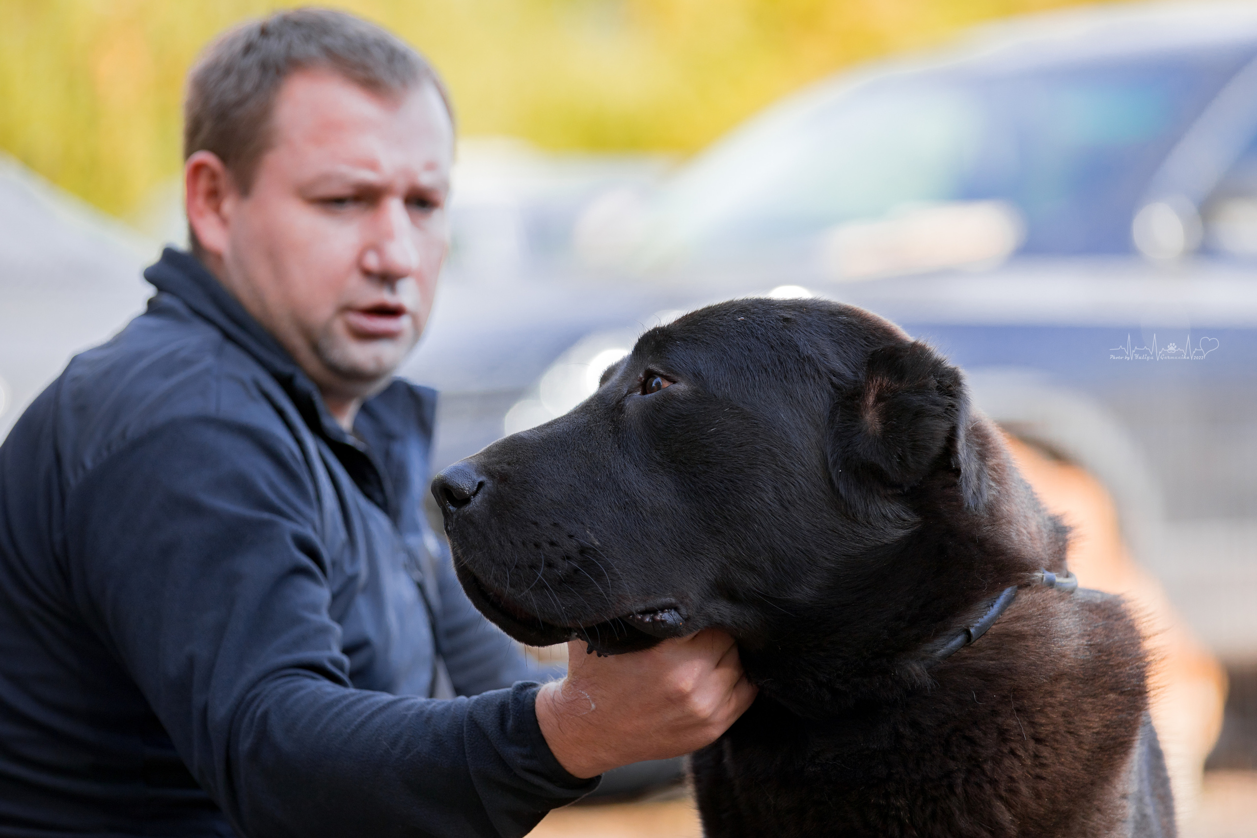 Тверь ЧРКФ 18.09.2022. Фотограф-анималист Юлия Германика