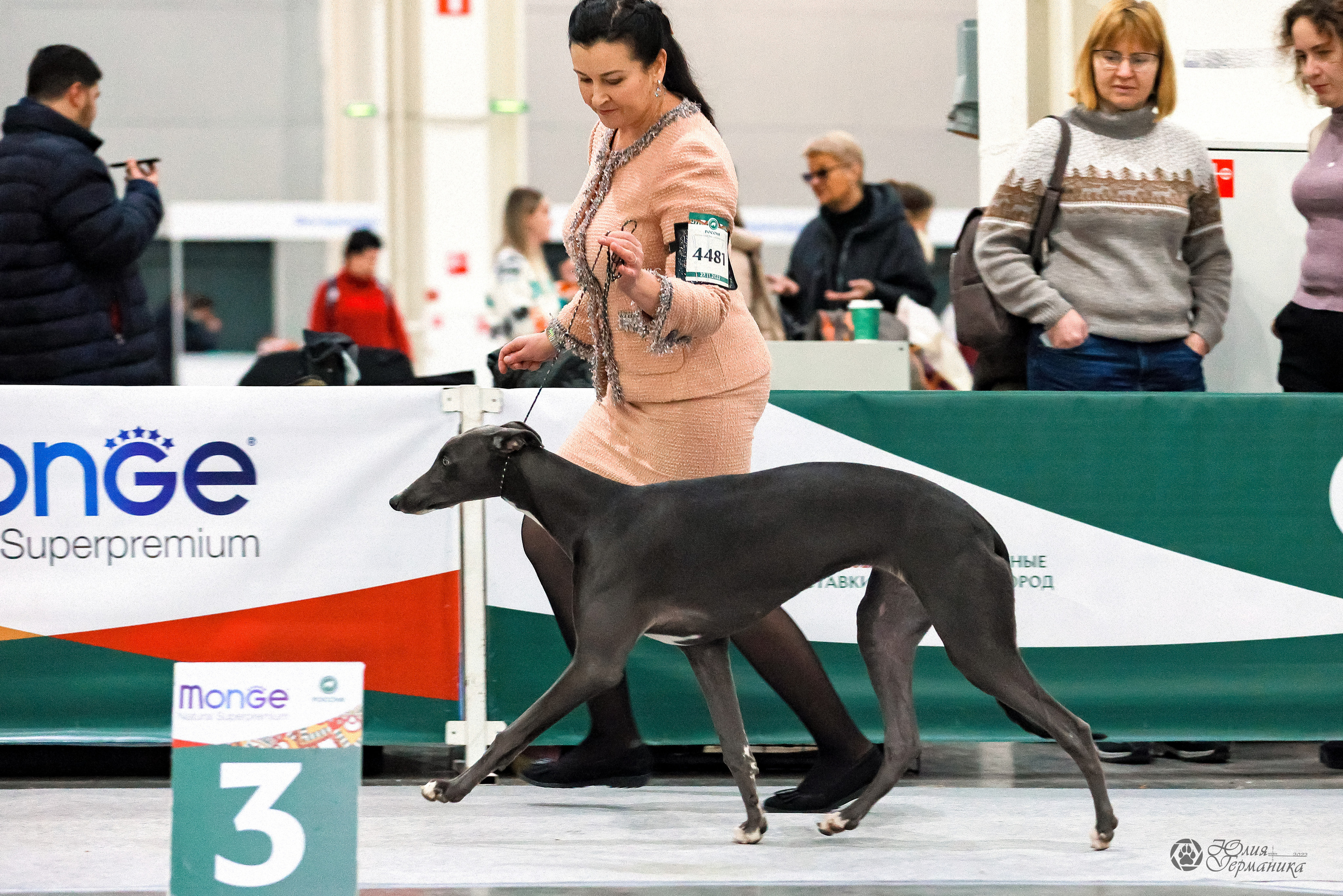 Россия 2020-2022 26-27.11.2022. Фотограф-анималист Юлия Германика