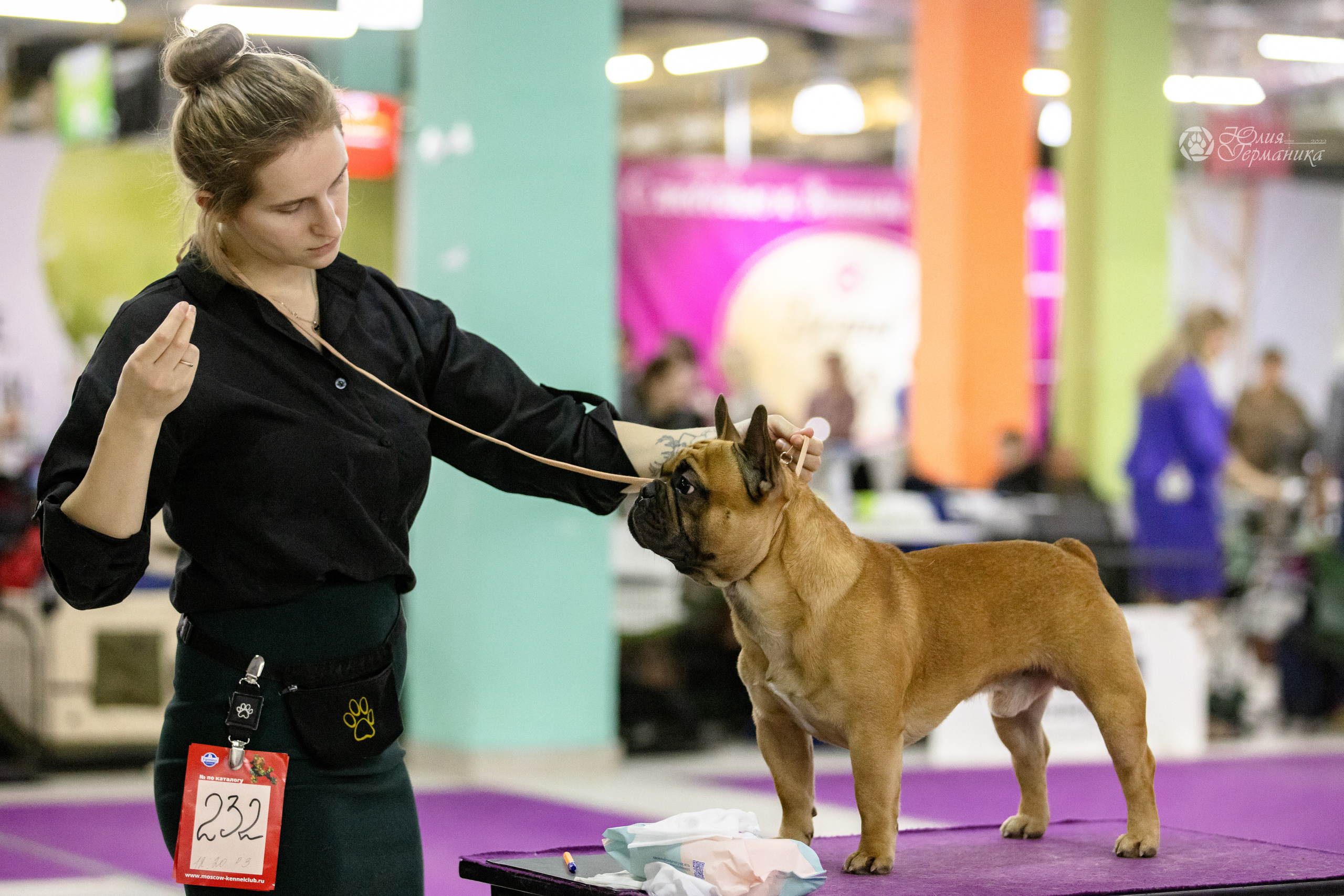 Чайна-Таун 3 и 12.11.2022. Фотограф-анималист Юлия Германика