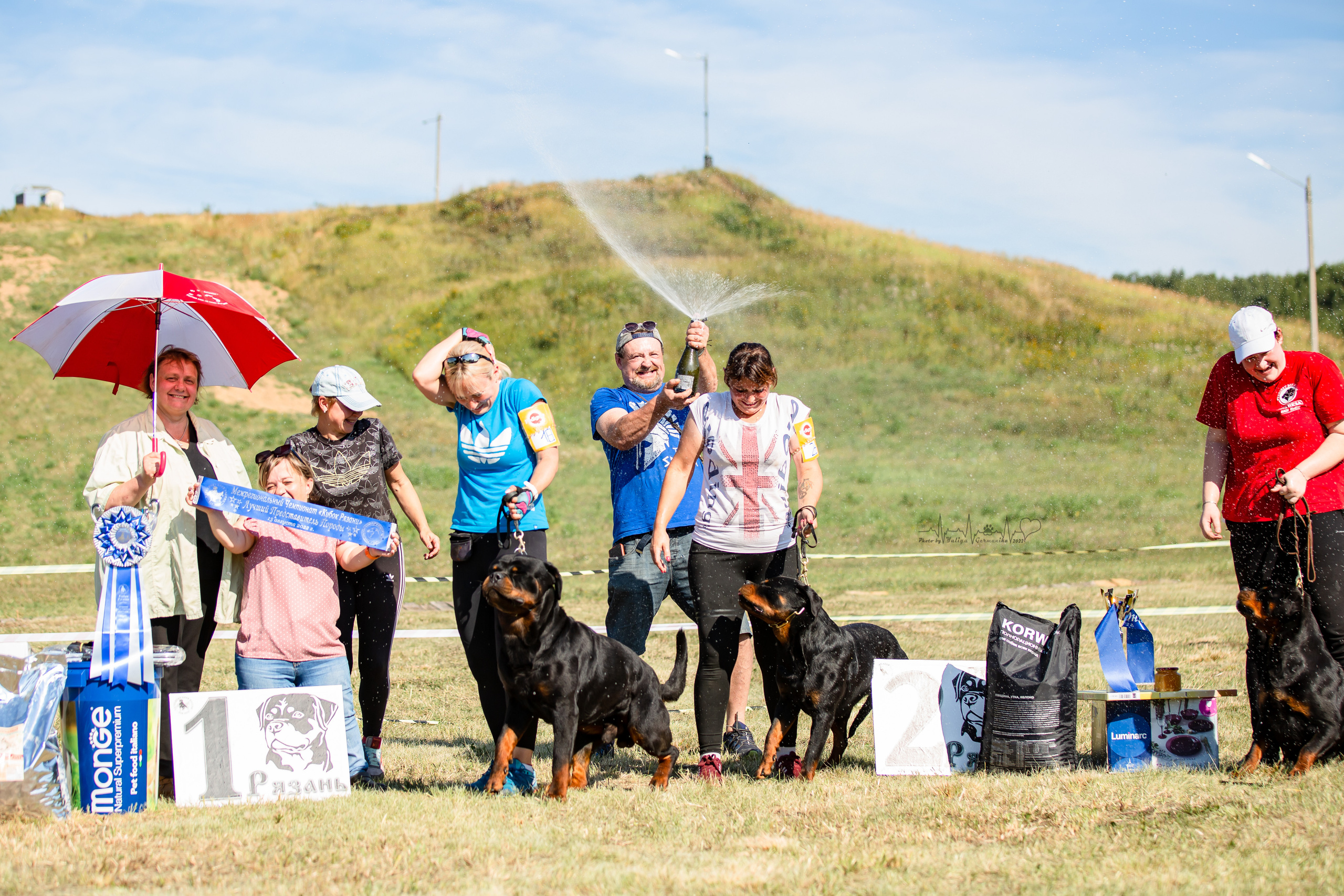 Рязань моно ротвейлеров 13.08.2022. Фотограф-анималист Юлия Германика
