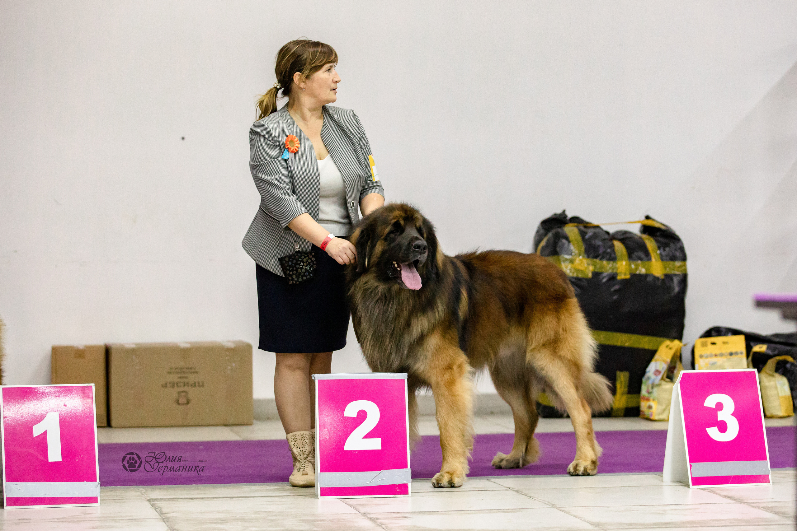 Чайна-Таун 29-30.10.2022. Фотограф-анималист Юлия Германика