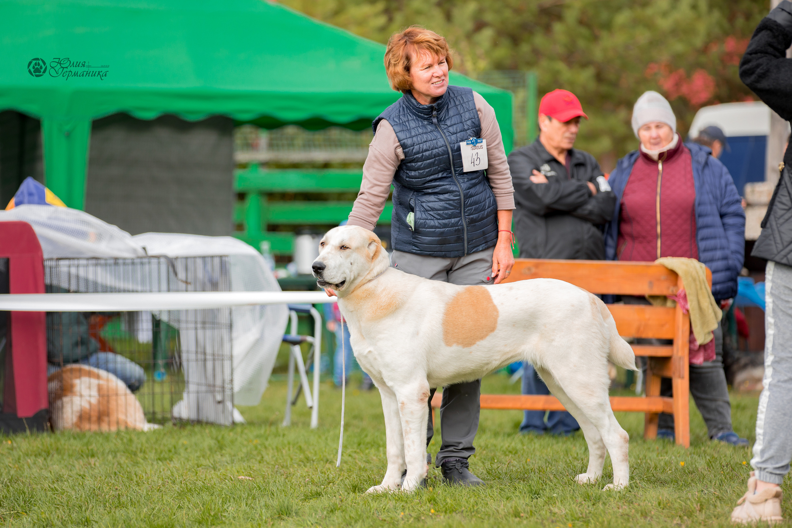 Александрова Слобода моно сао 2.10.2022. Фотограф-анималист Юлия Германика