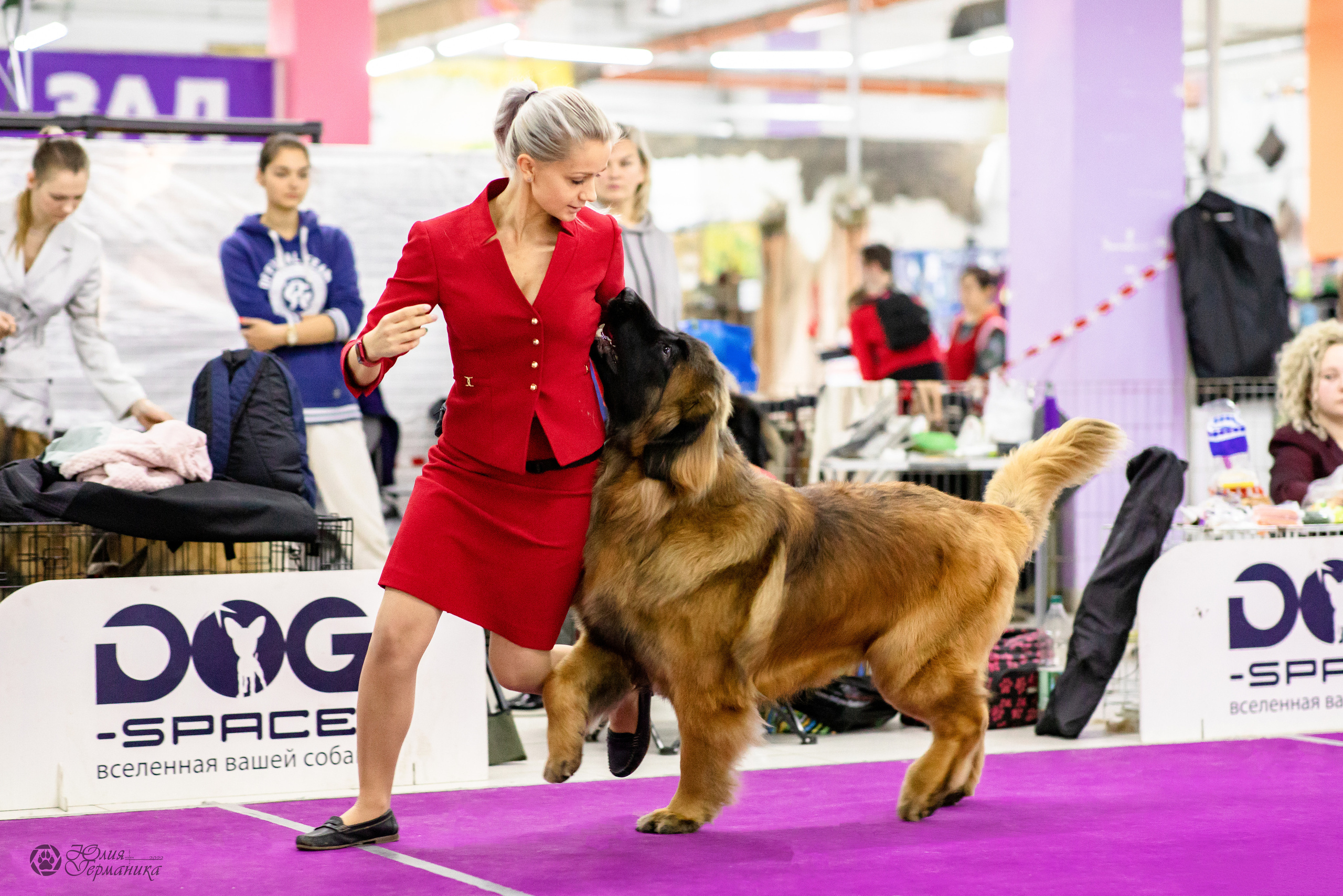 Чайна-Таун 29-30.10.2022. Фотограф-анималист Юлия Германика