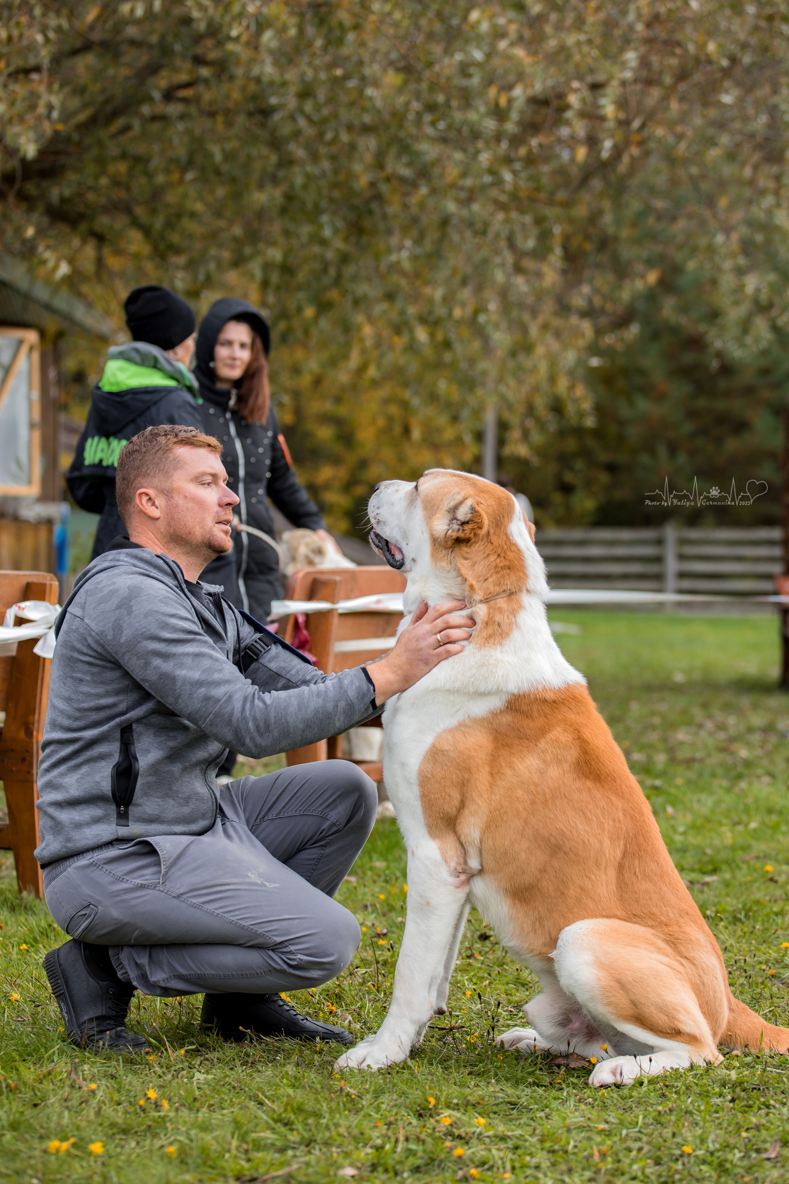 Александрова Слобода моно сао 2.10.2022. Фотограф-анималист Юлия Германика