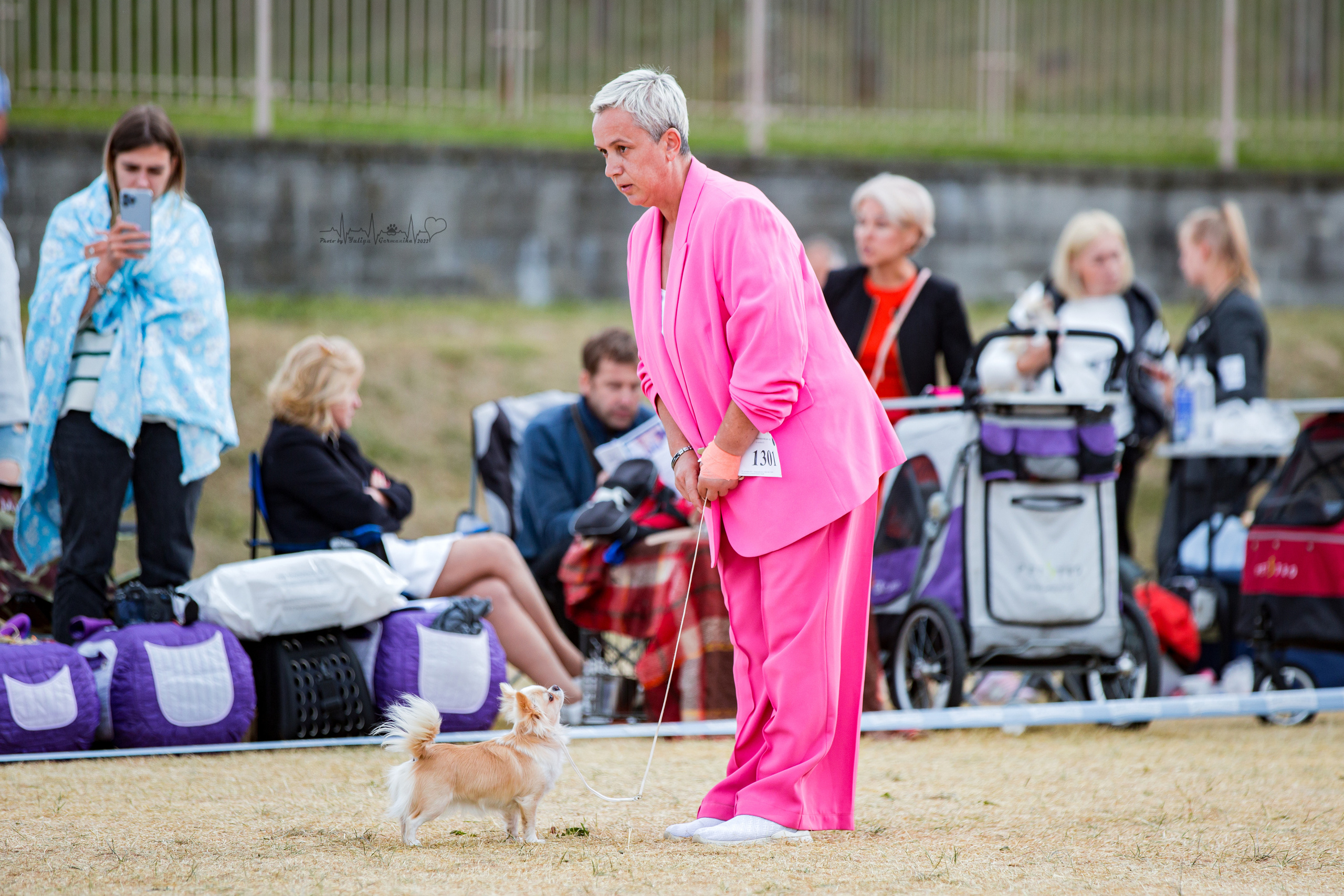 Минск 2хCACIB 3-4.09.2022. Фотограф-анималист Юлия Германика