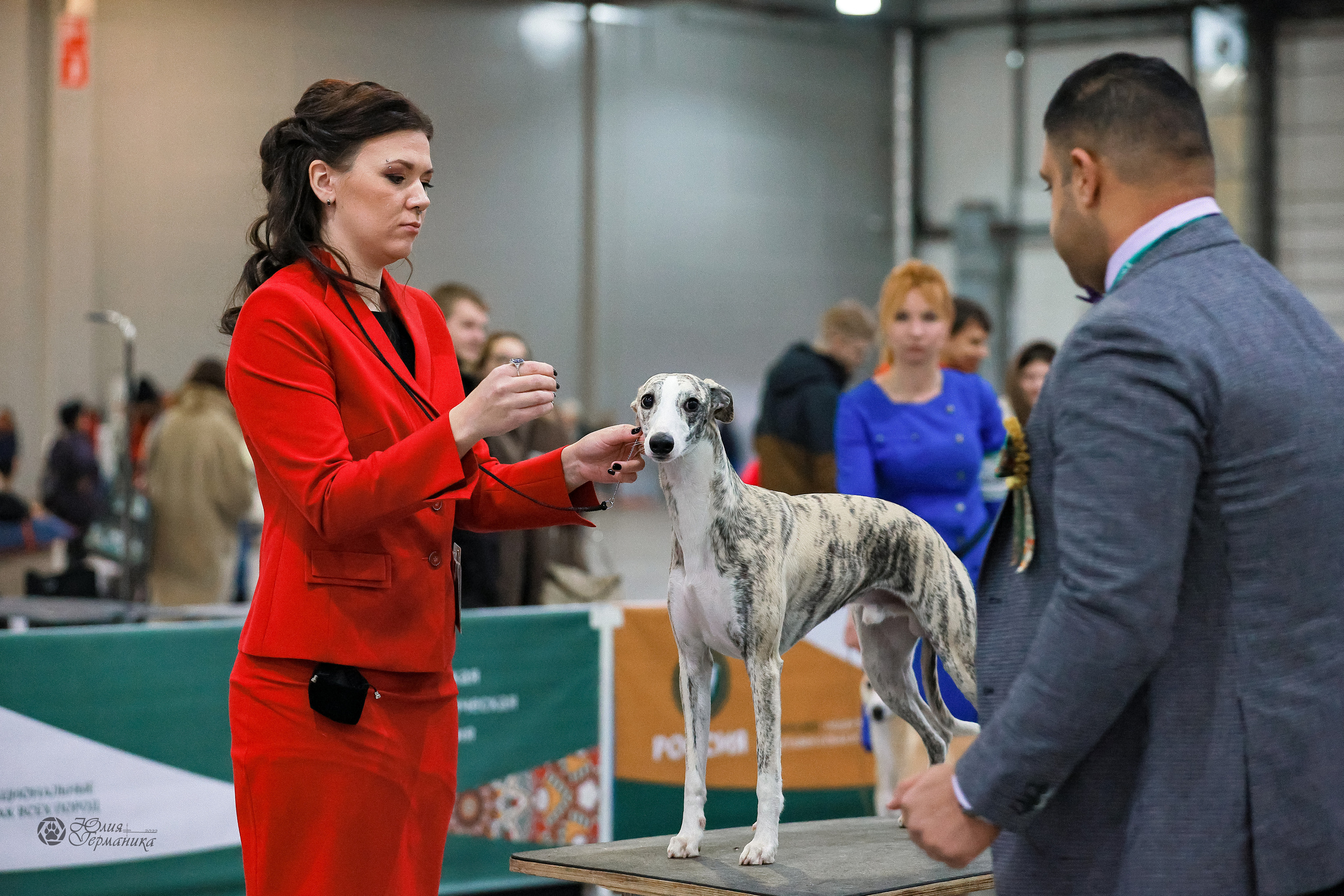 Россия 2020-2022 26-27.11.2022. Фотограф-анималист Юлия Германика