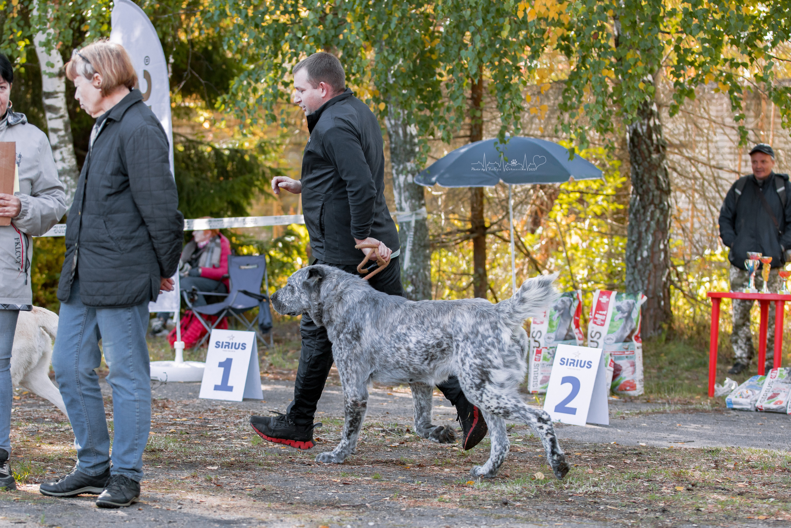 Тверь ЧРКФ 18.09.2022. Фотограф-анималист Юлия Германика