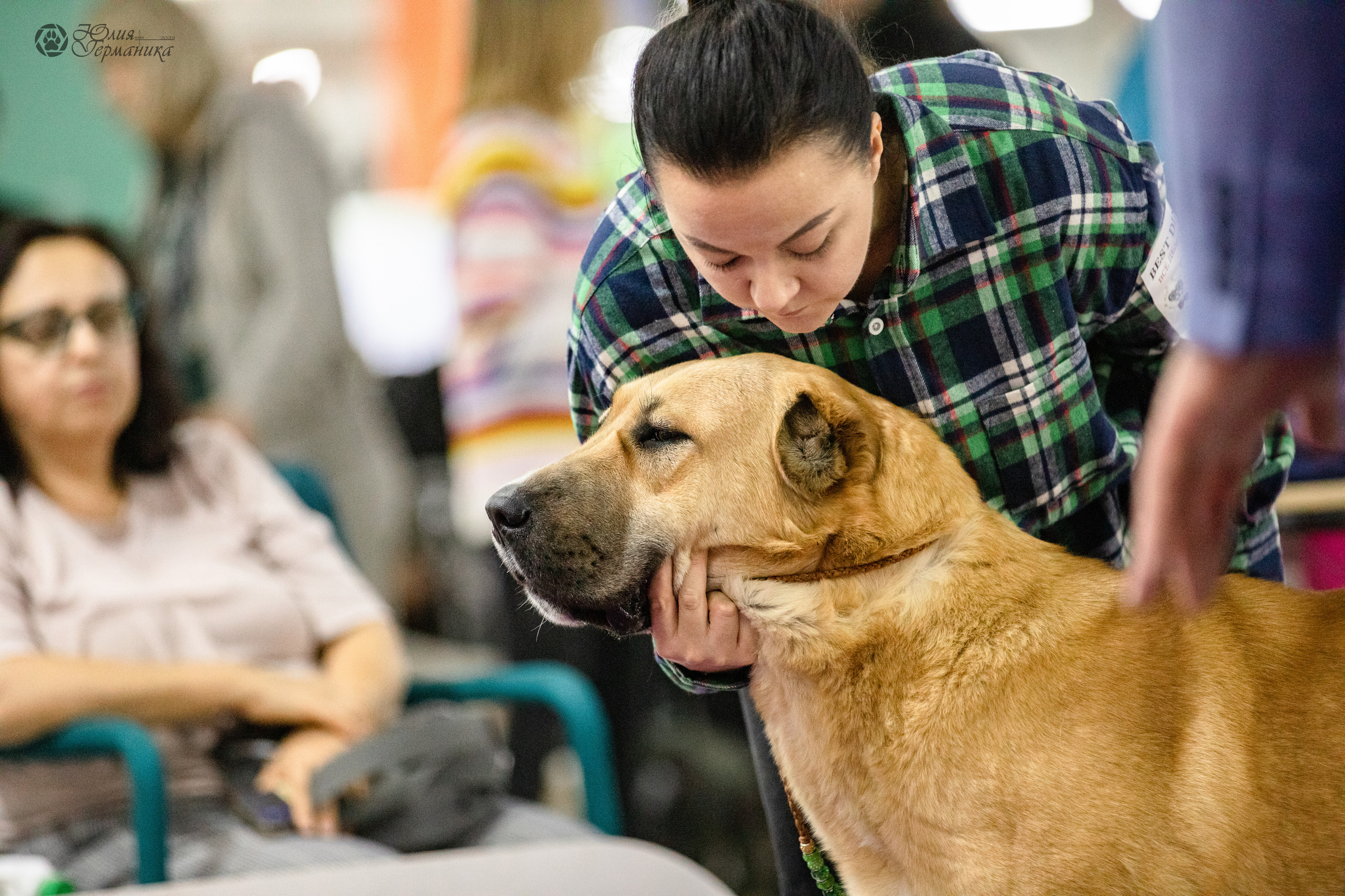 Чайна-Таун 29-30.10.2022. Фотограф-анималист Юлия Германика