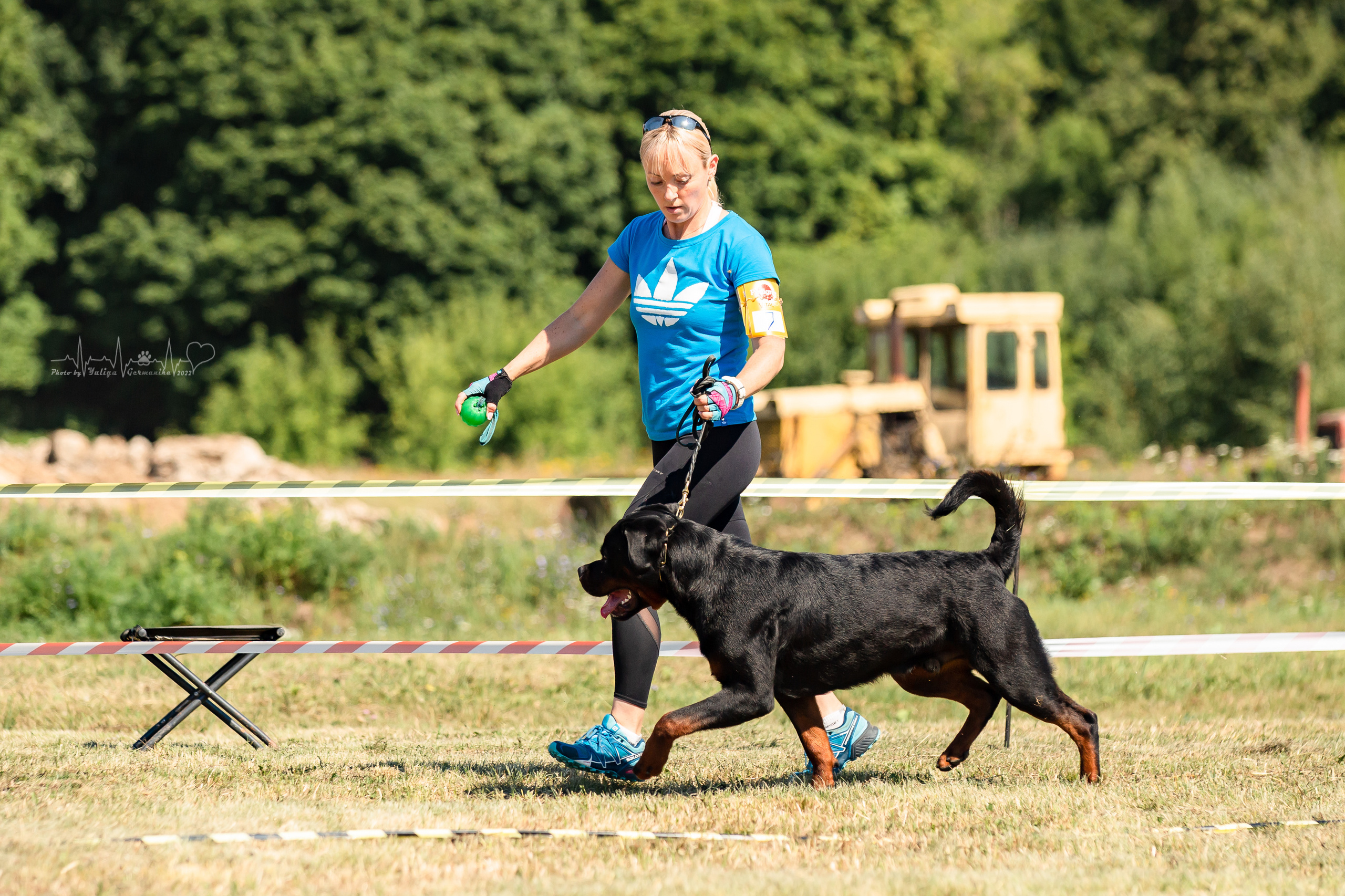 Рязань моно ротвейлеров 13.08.2022. Фотограф-анималист Юлия Германика