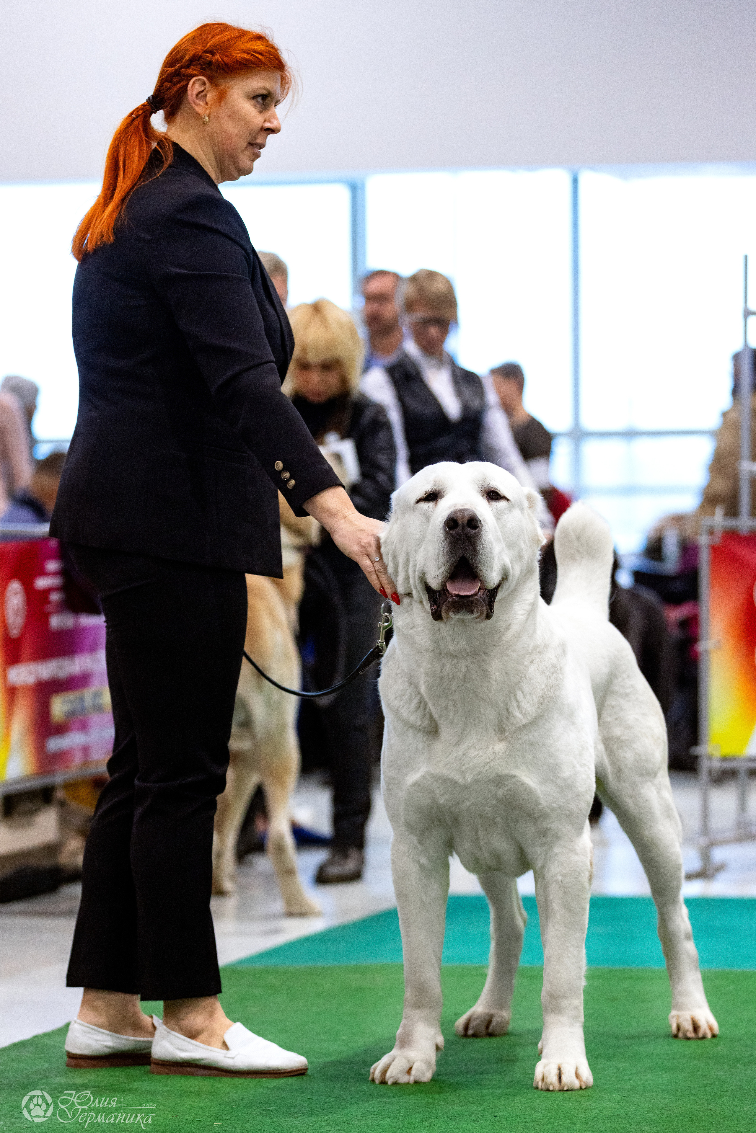 Минск 19-20.11.2022. Фотограф-анималист Юлия Германика