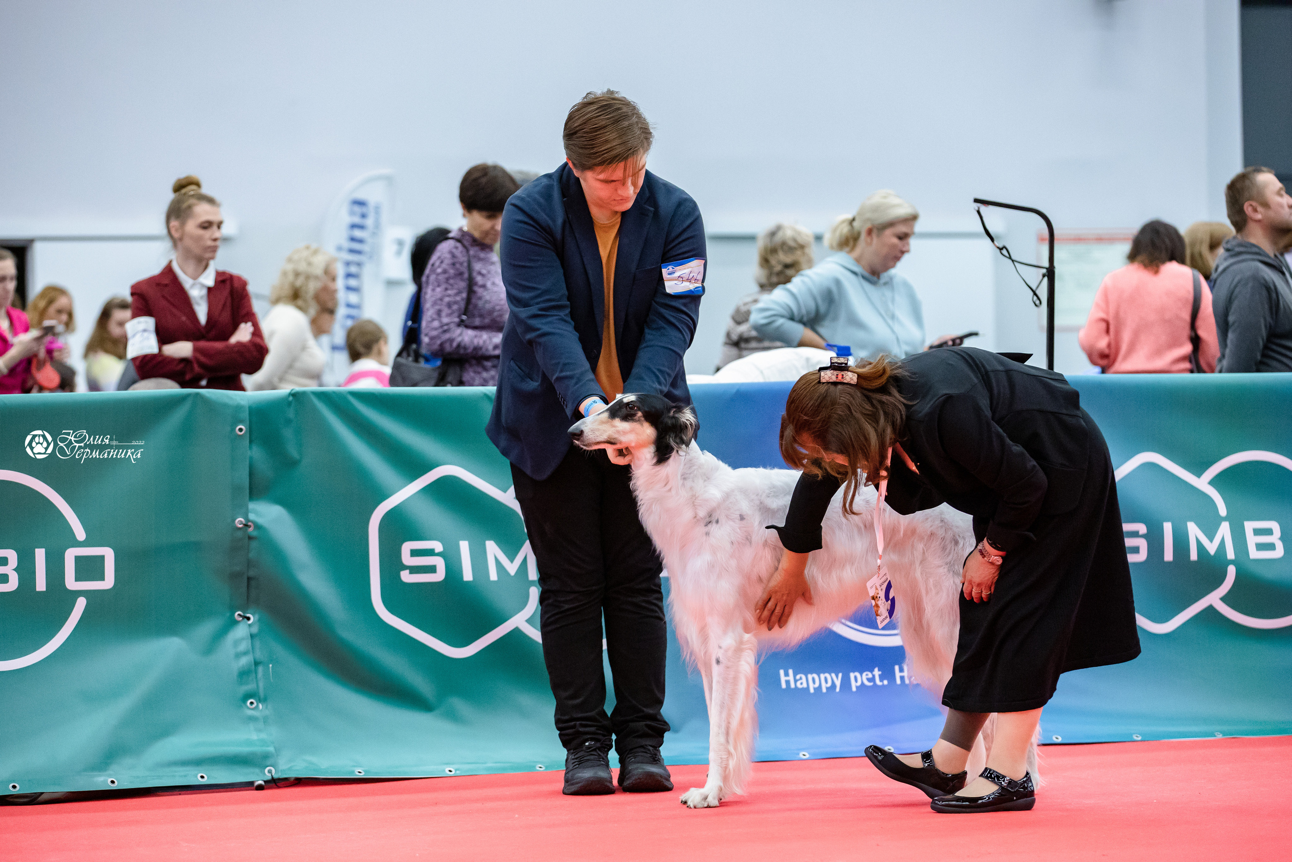 Нижний Новгород 15-16.10.2022. Фотограф-анималист Юлия Германика