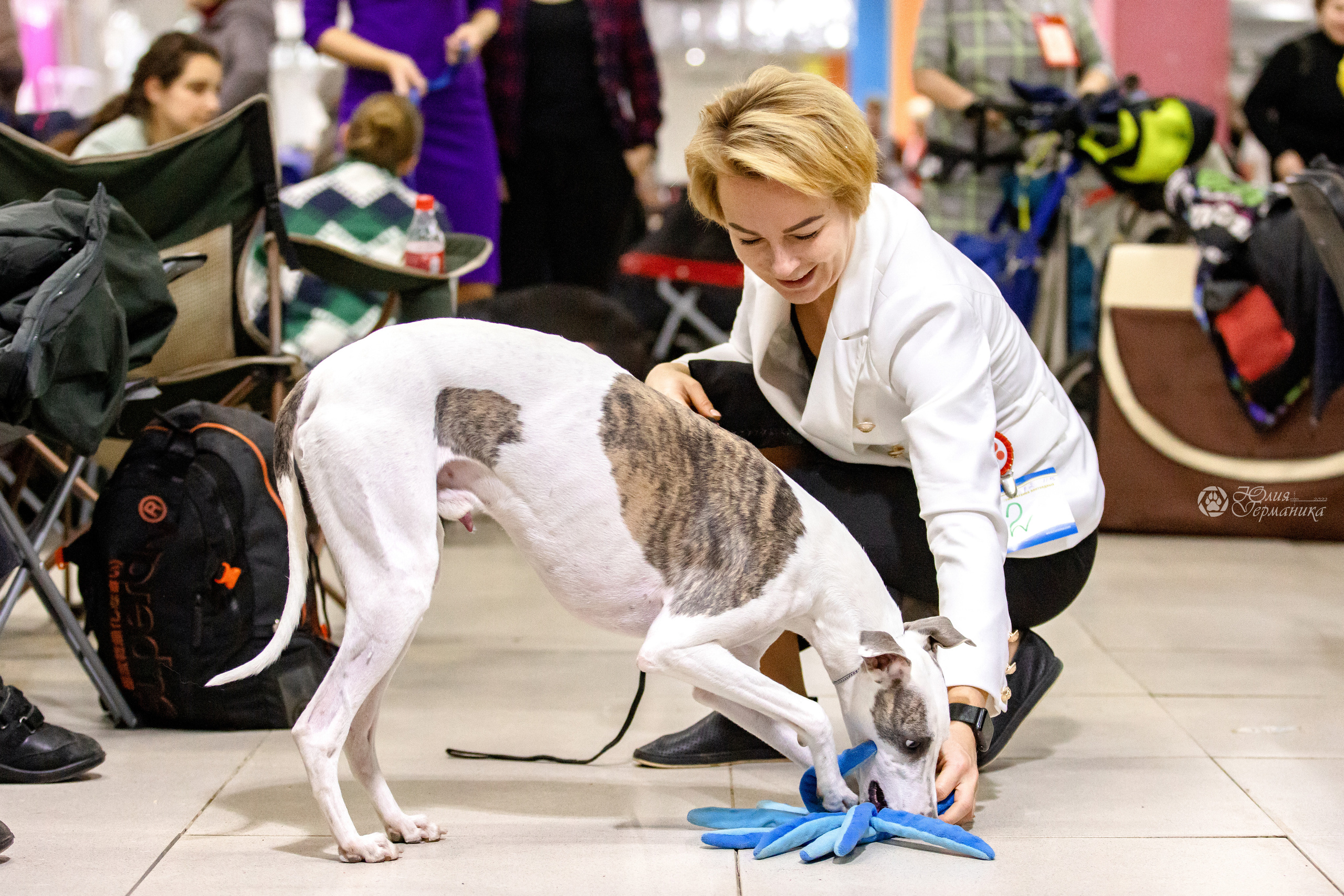 Чайна-Таун 3 и 12.11.2022. Фотограф-анималист Юлия Германика