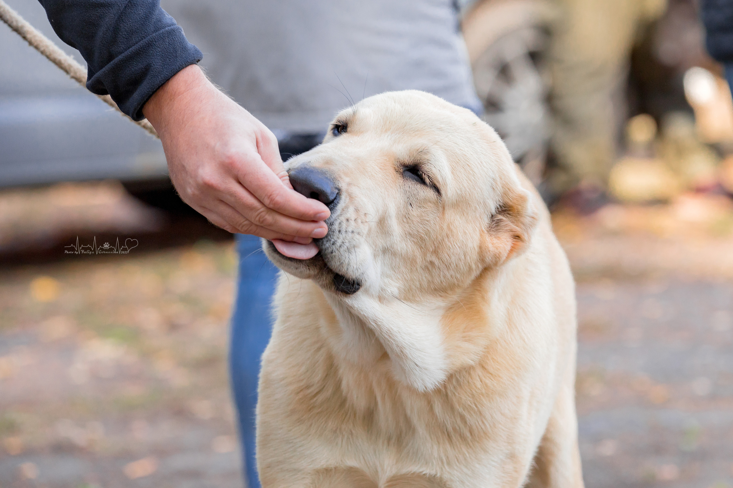 Тверь ЧРКФ 18.09.2022. Фотограф-анималист Юлия Германика