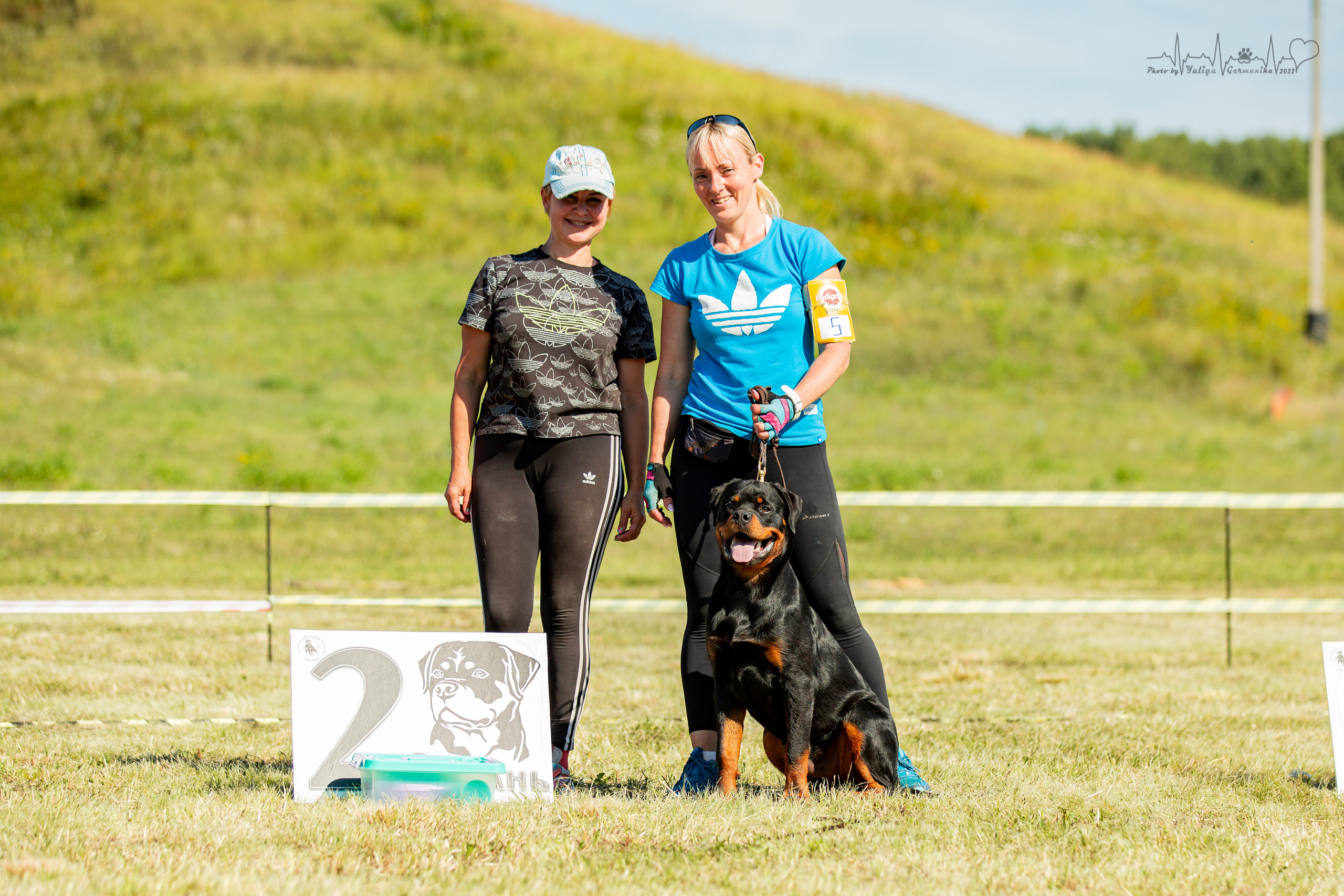 Рязань моно ротвейлеров 13.08.2022. Фотограф-анималист Юлия Германика