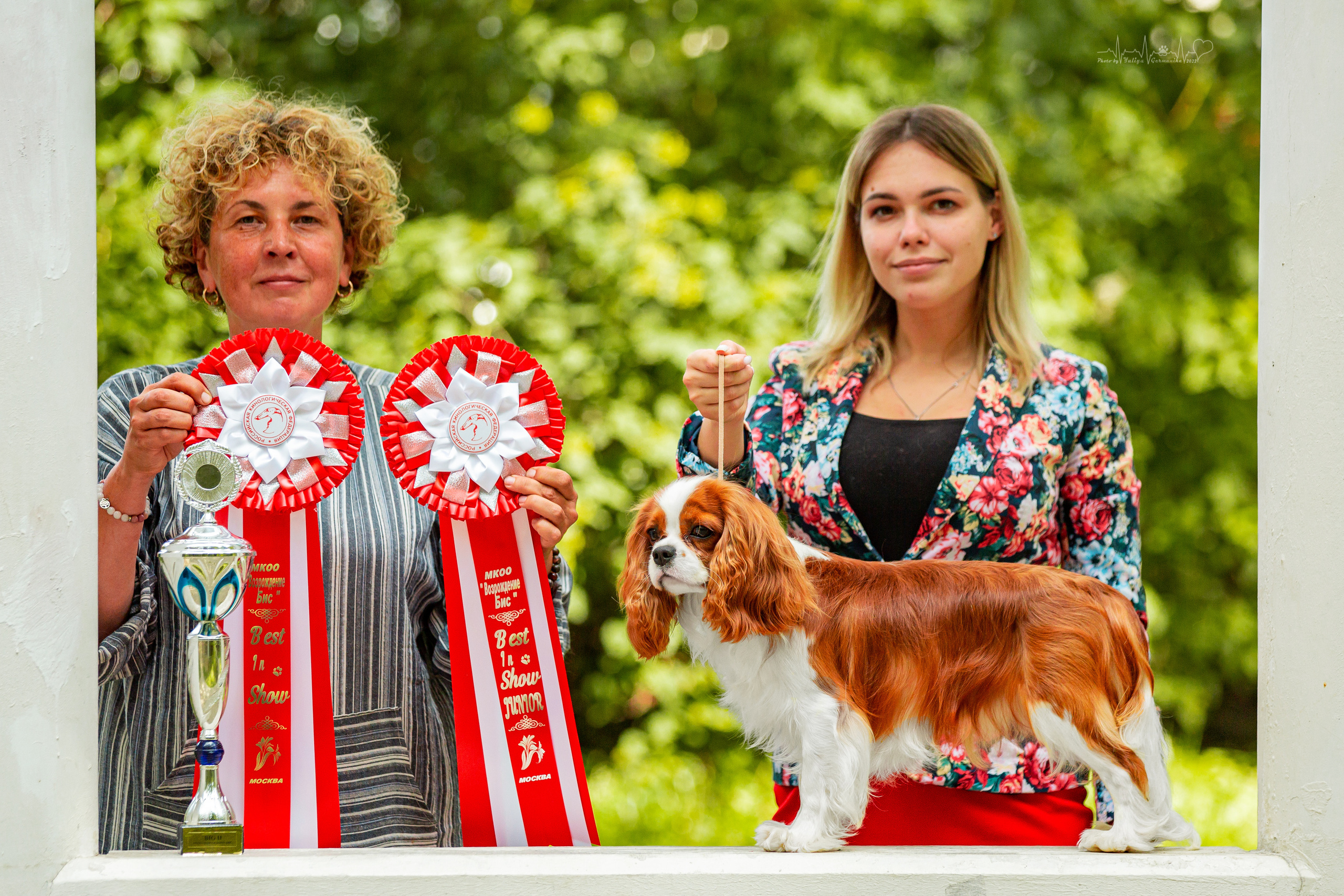 Ховрино фестиваль монопородок 14.08.2022. Фотограф-анималист Юлия Германика