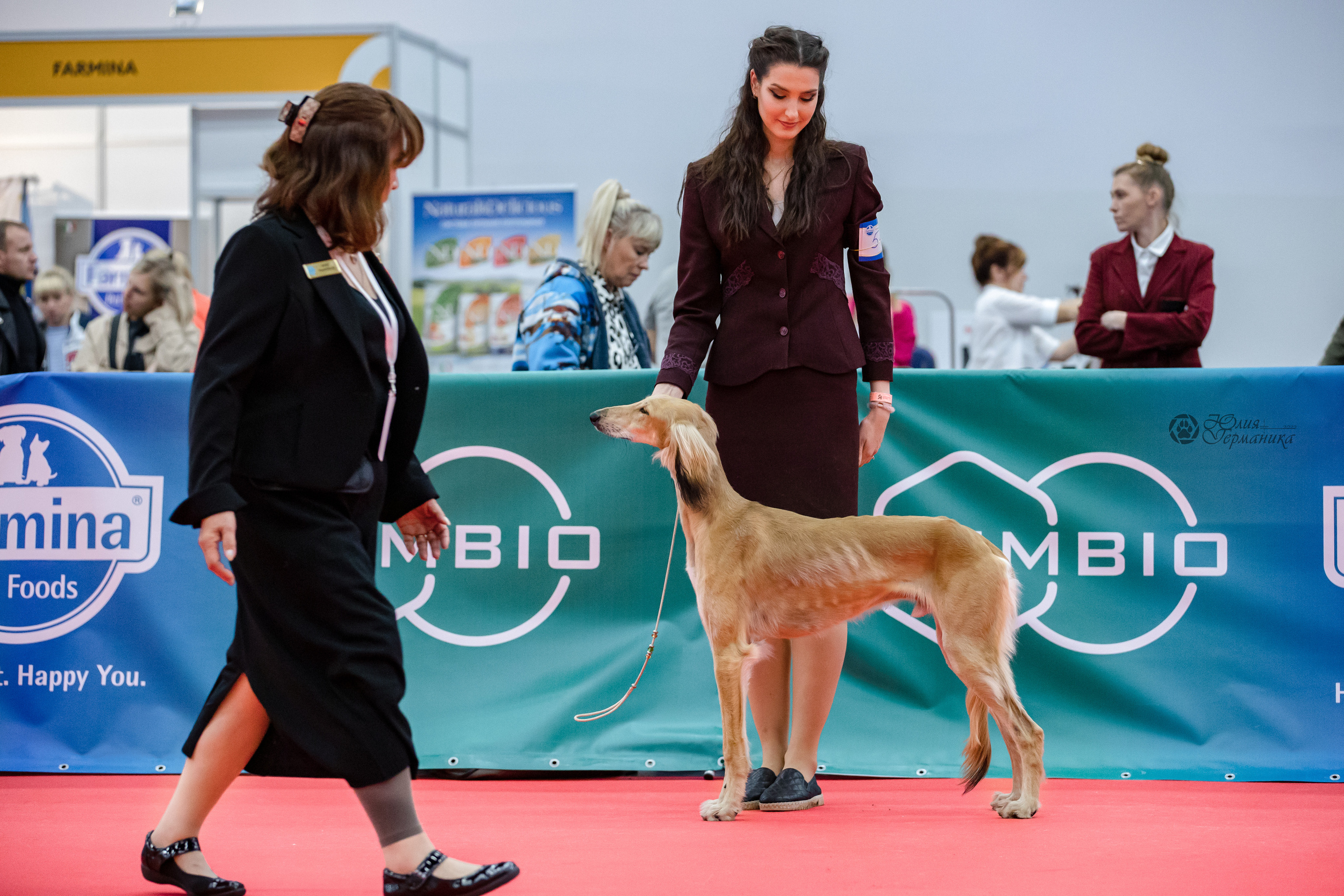 Нижний Новгород 15-16.10.2022. Фотограф-анималист Юлия Германика