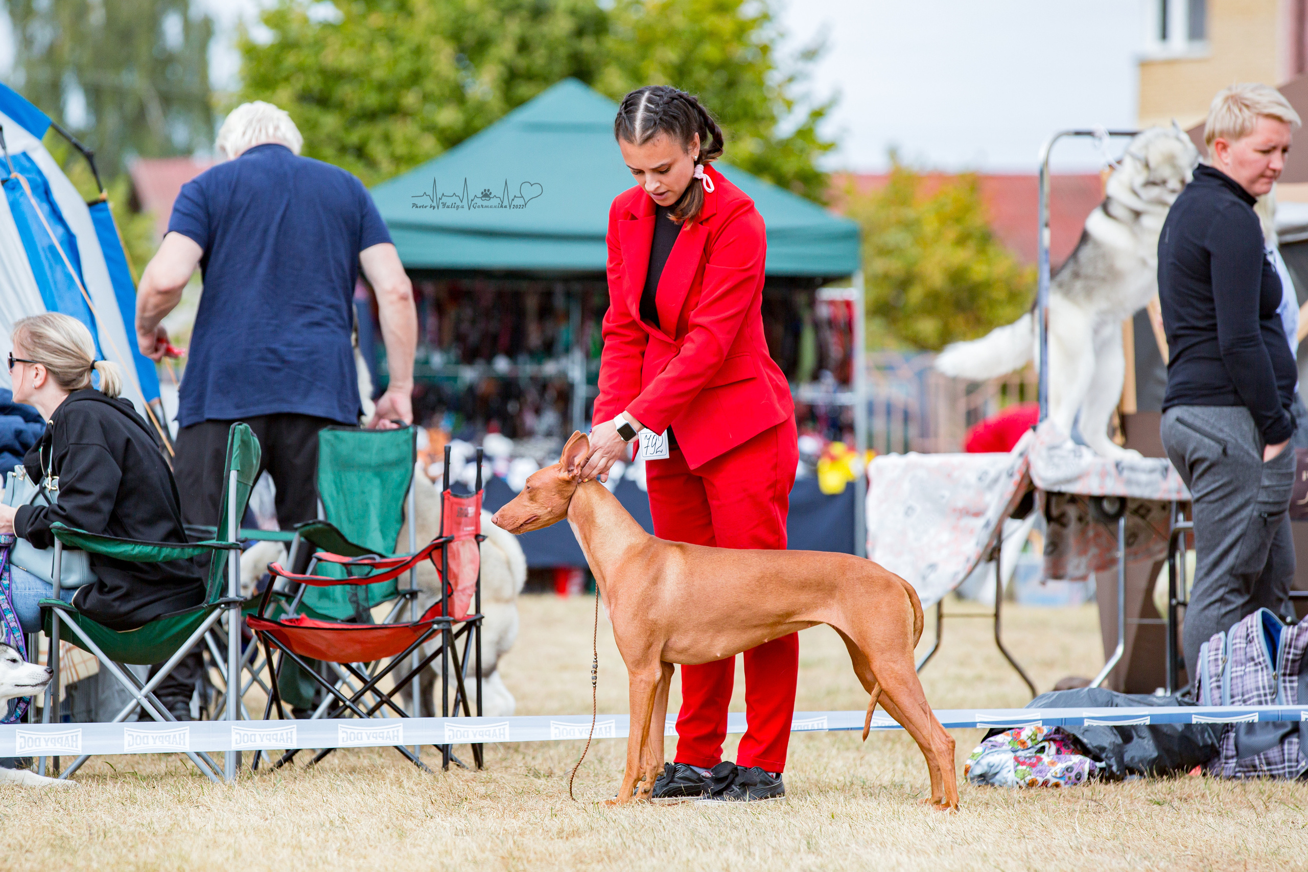 Минск 2хCACIB 3-4.09.2022. Фотограф-анималист Юлия Германика