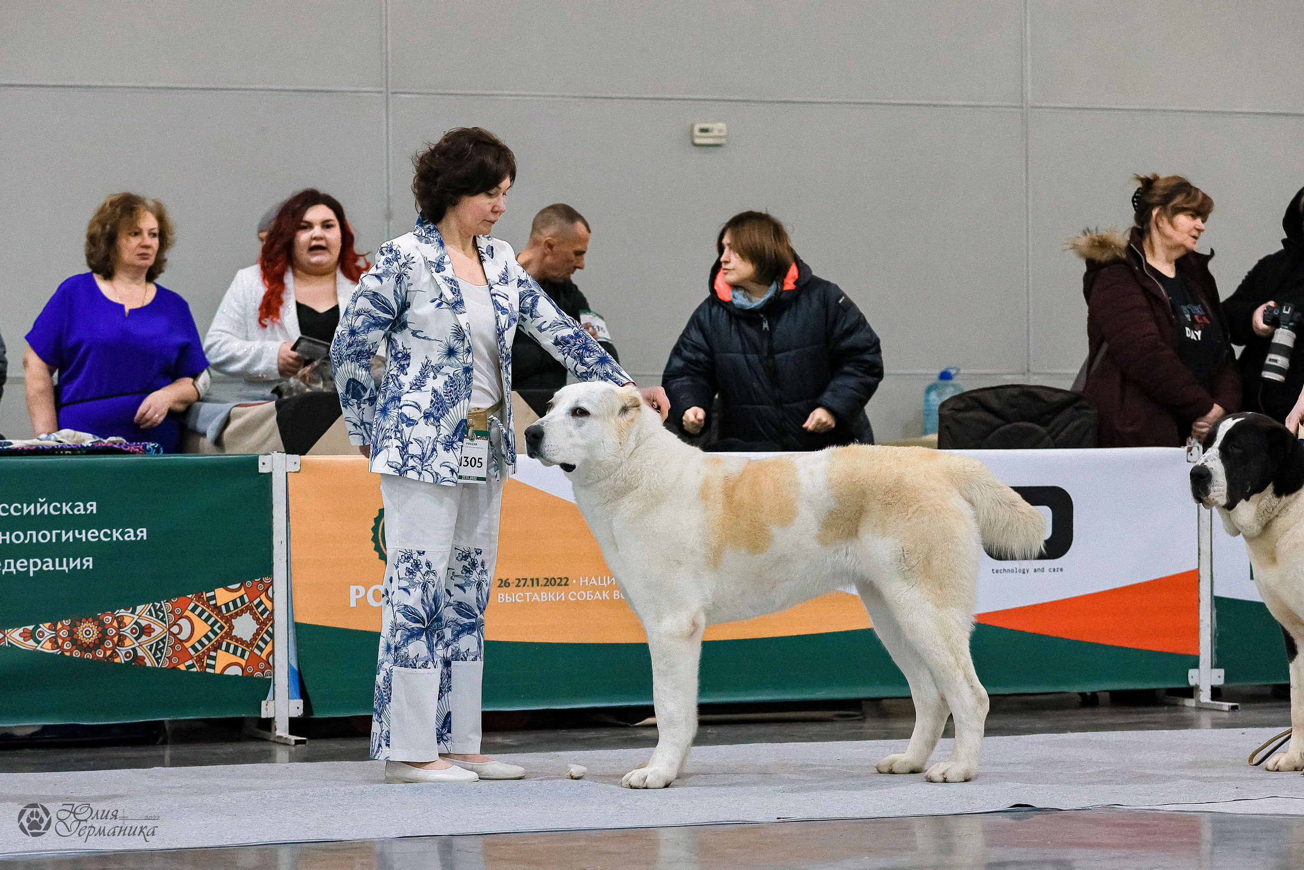 Россия 2020-2022 26-27.11.2022. Фотограф-анималист Юлия Германика