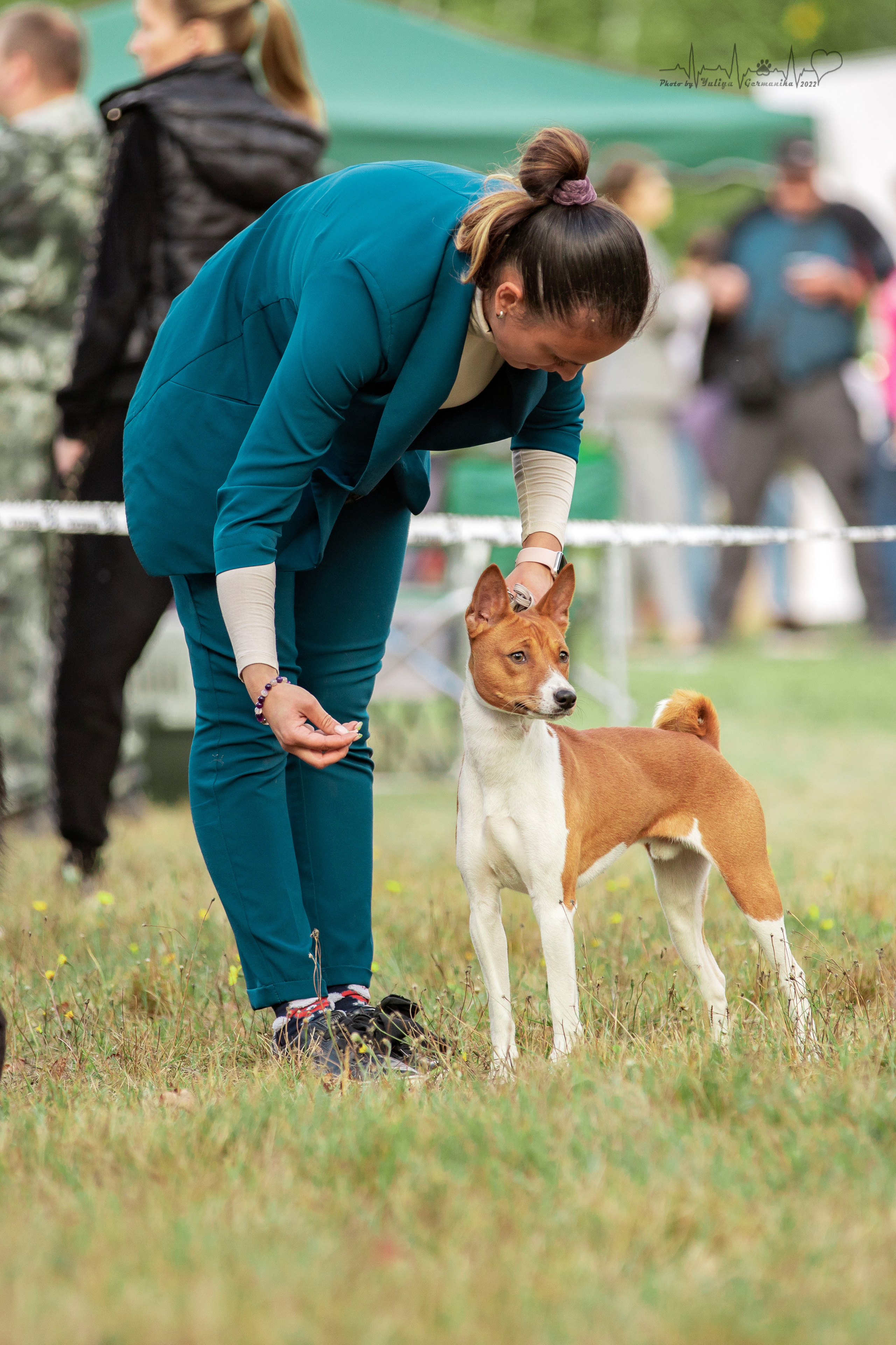 Пушкино ЧРКФ 17.09.2022. Фотограф-анималист Юлия Германика