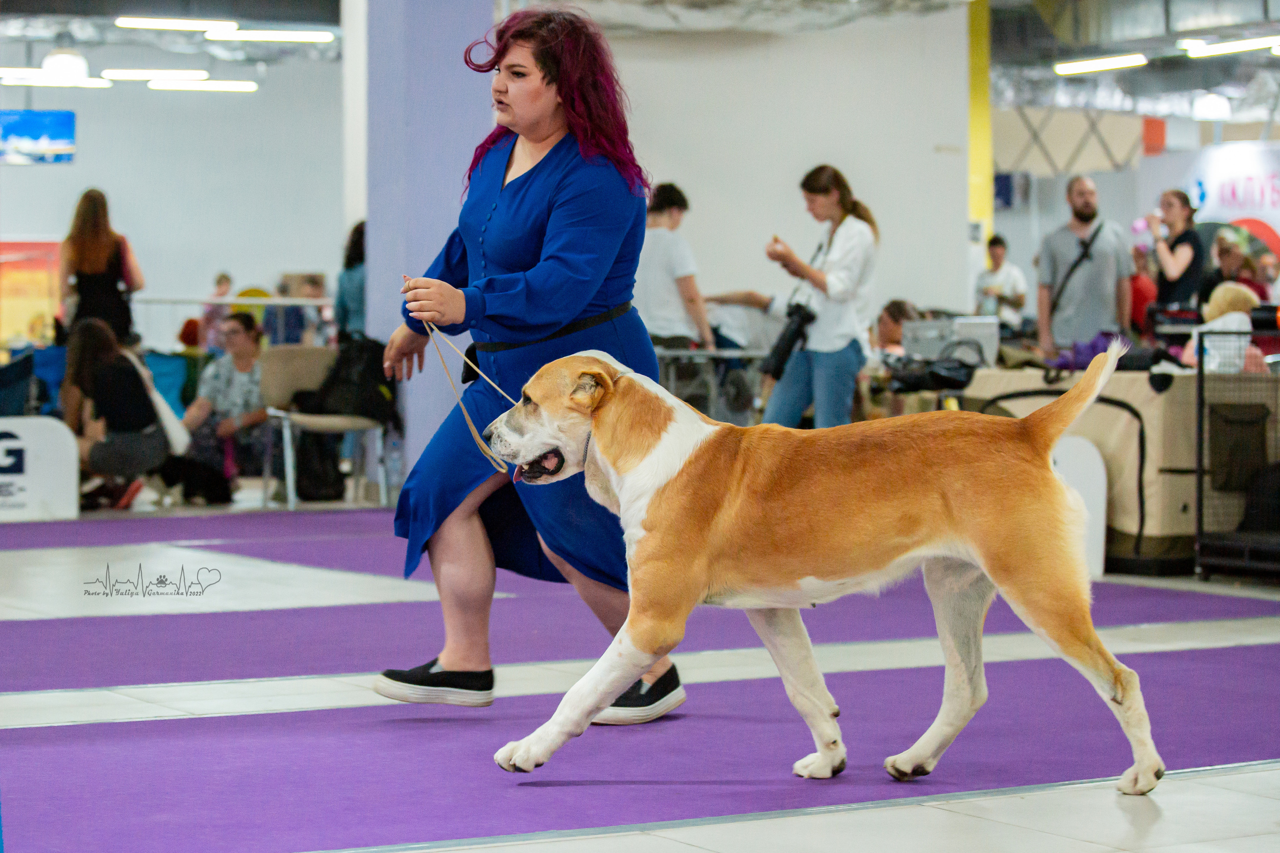 Ховрино 31.07,Чайна-Таун 6.08,Тверь 7.08. Фотограф-анималист Юлия Германика