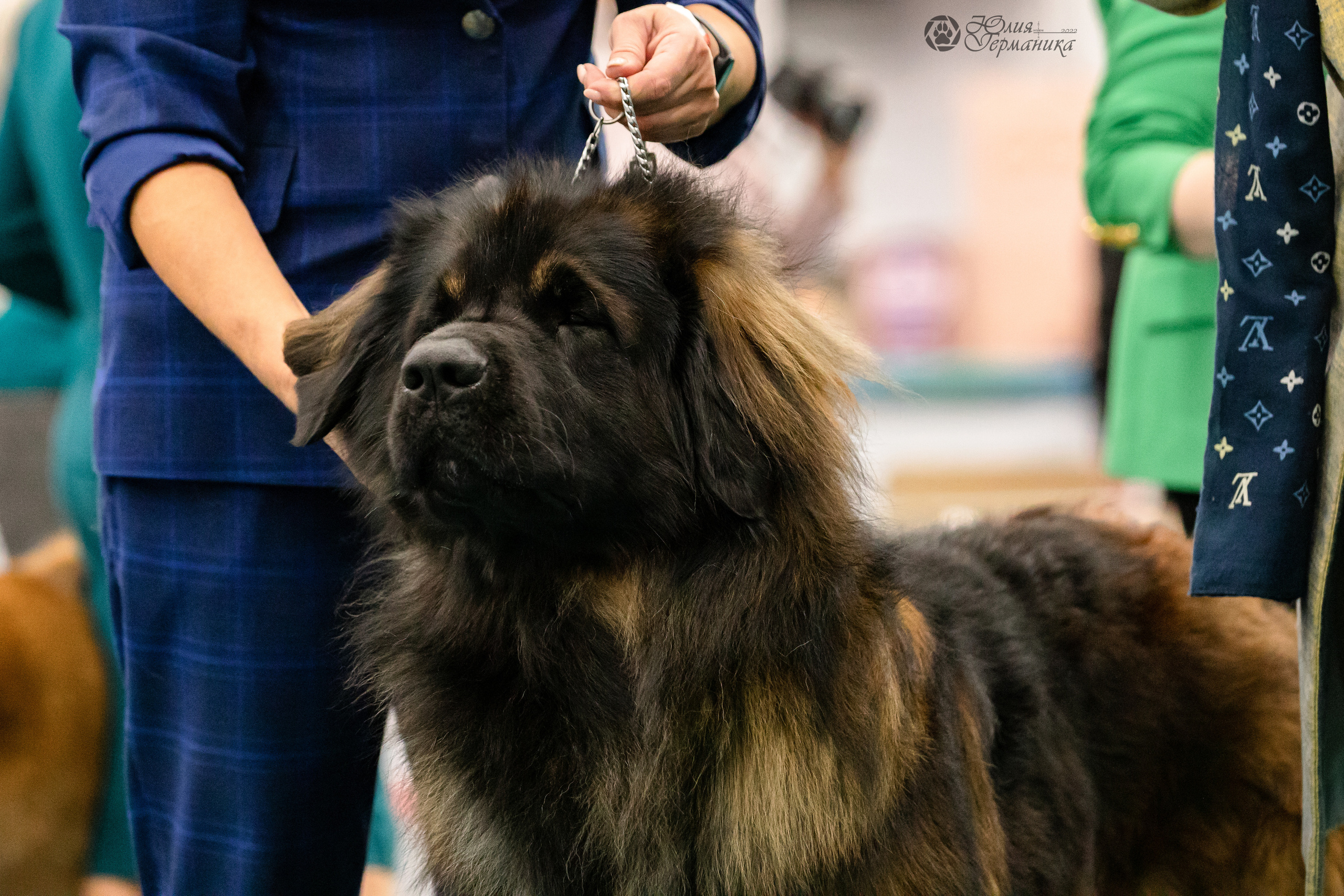 Нижний Новгород 15-16.10.2022. Фотограф-анималист Юлия Германика