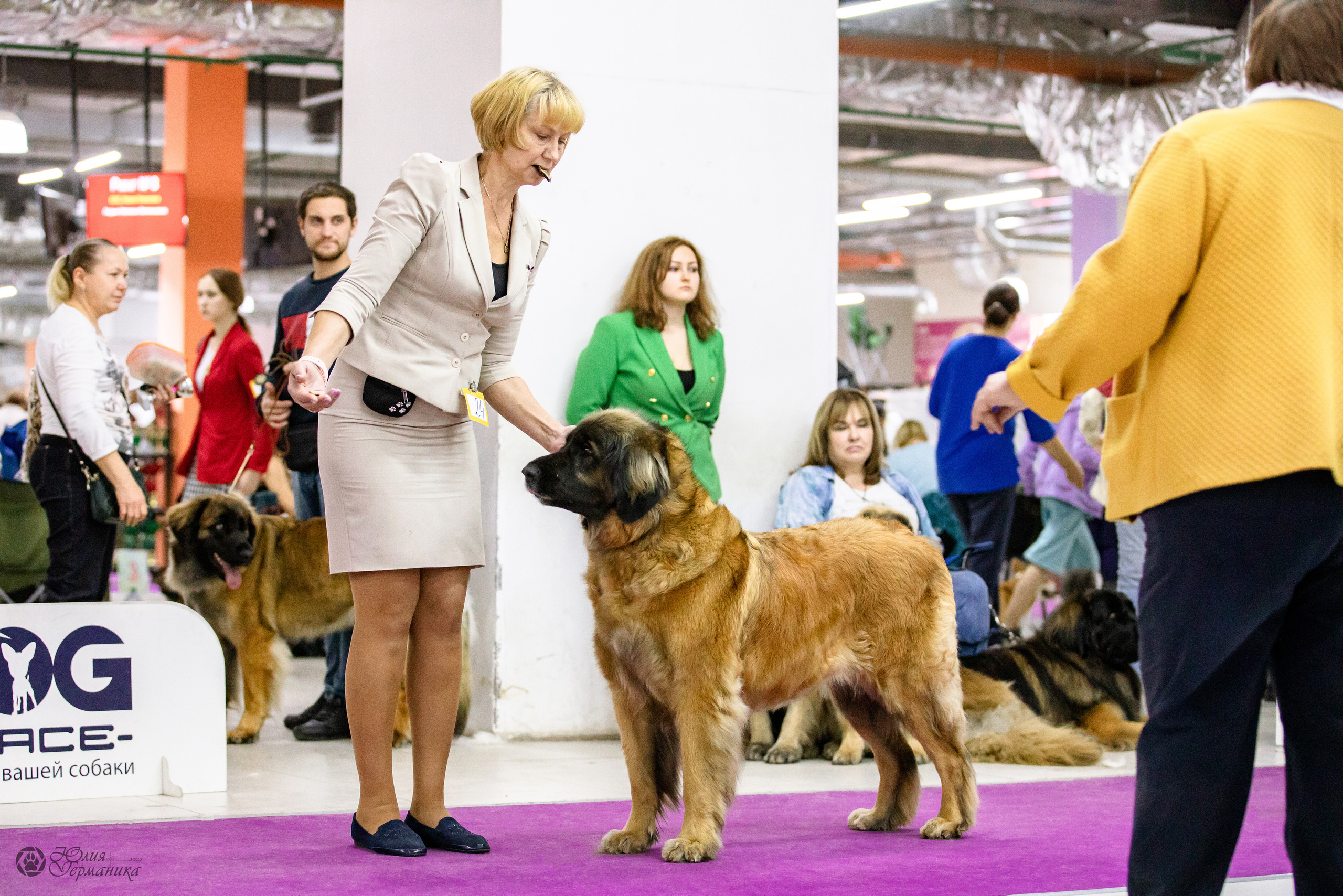 Чайна-Таун 29-30.10.2022. Фотограф-анималист Юлия Германика